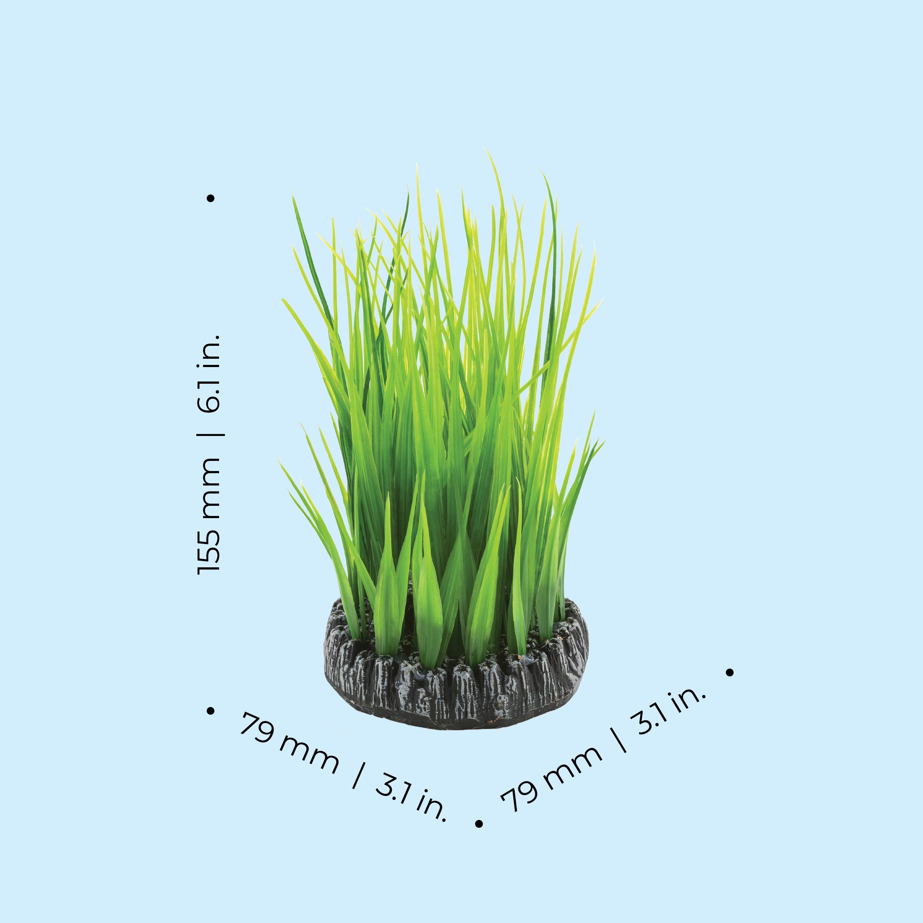 Small Green Grass Ring Dimensions