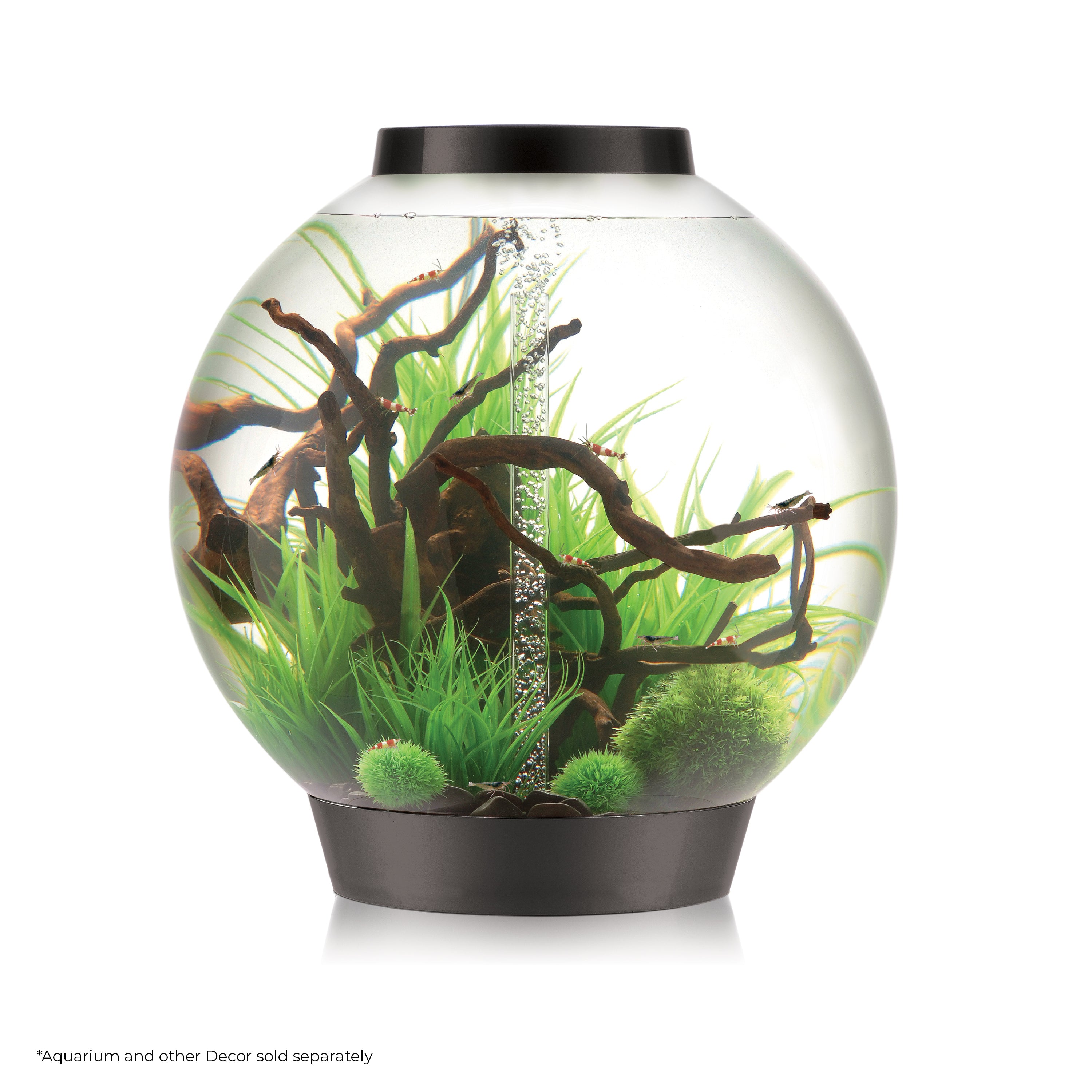 Medium Green Grass Ring In use