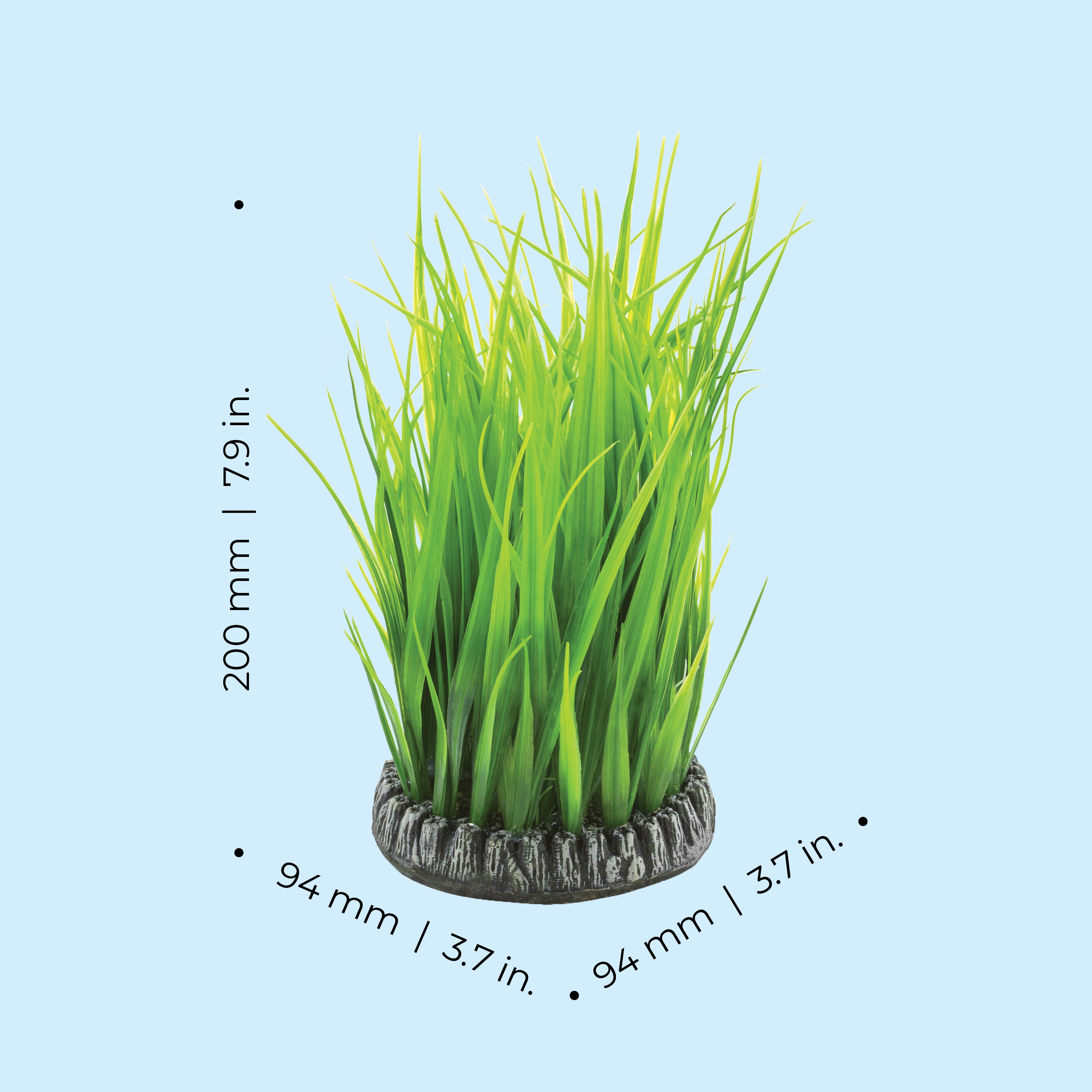 Medium Green Grass Ring - Dimensions