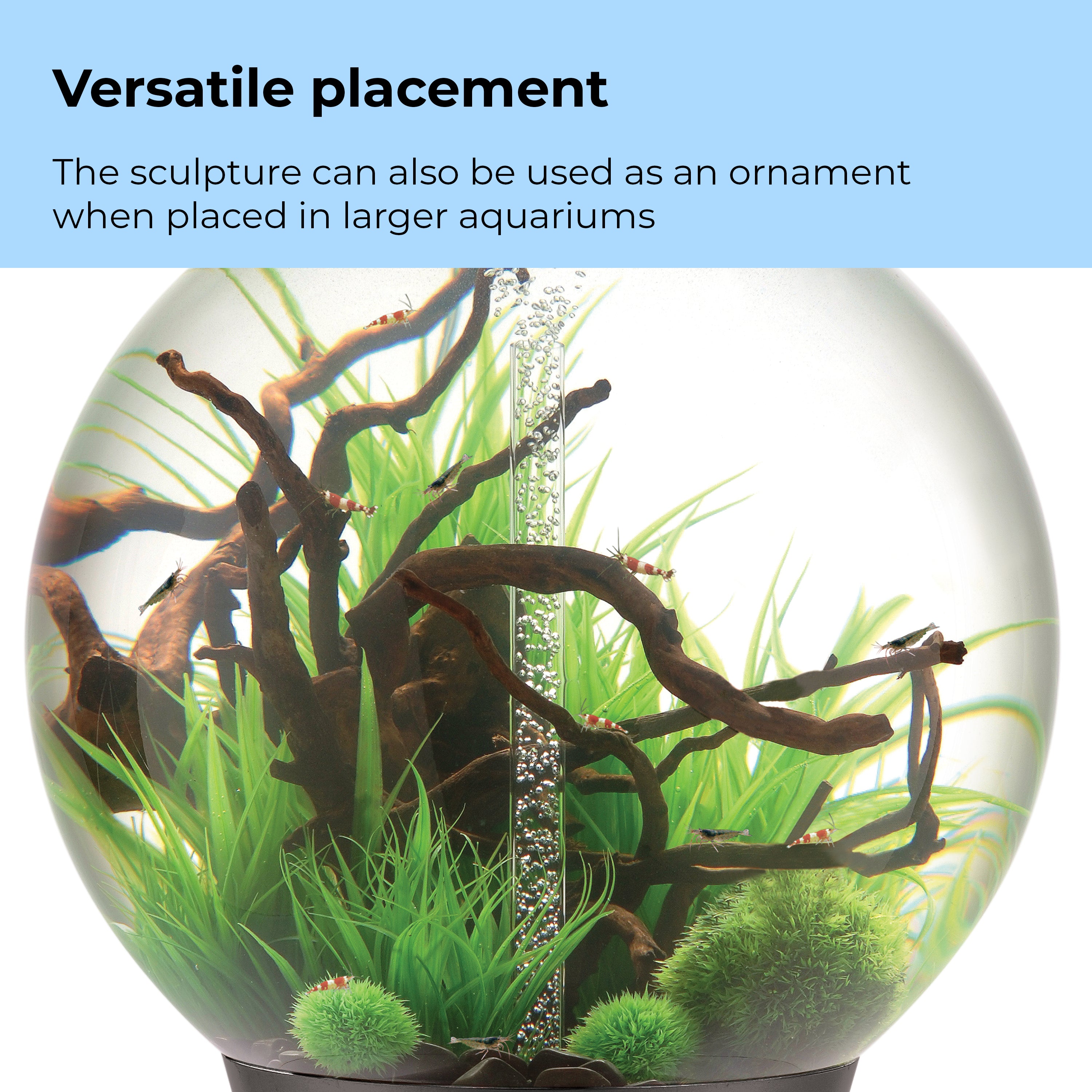Medium Green Grass Ring - Versatile placement