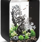 Fan Coral Sculpture In Use