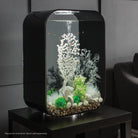 Fan Coral Sculpture In Use