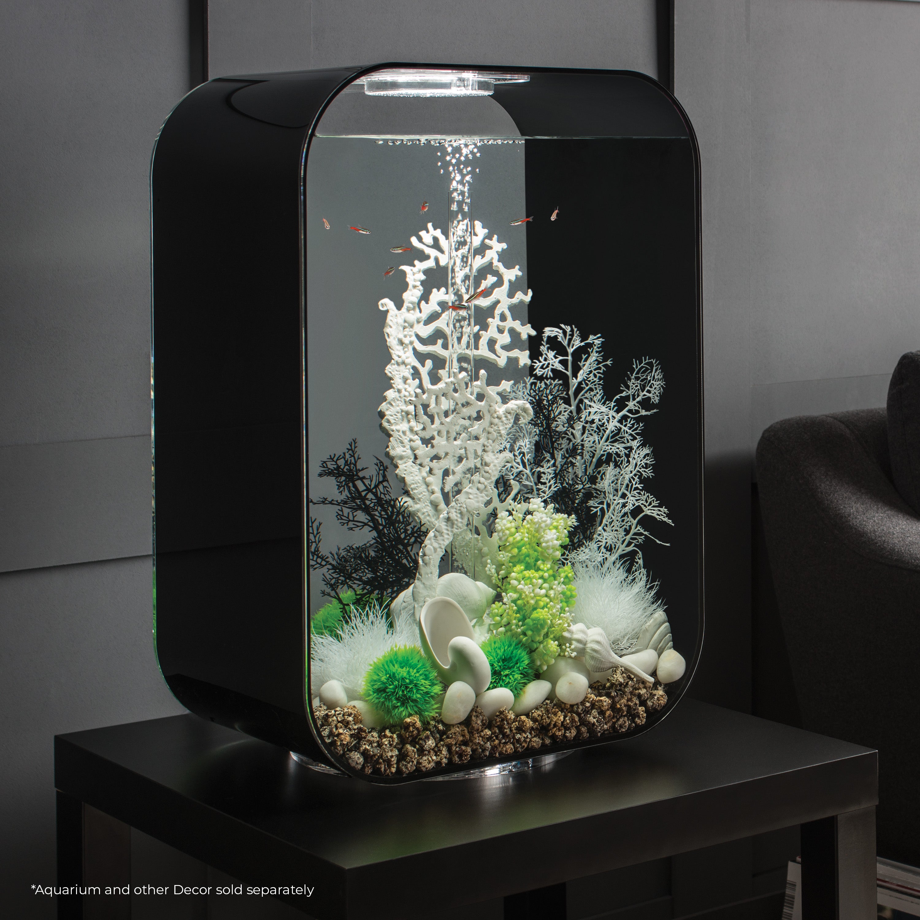 Fan Coral Sculpture In Use