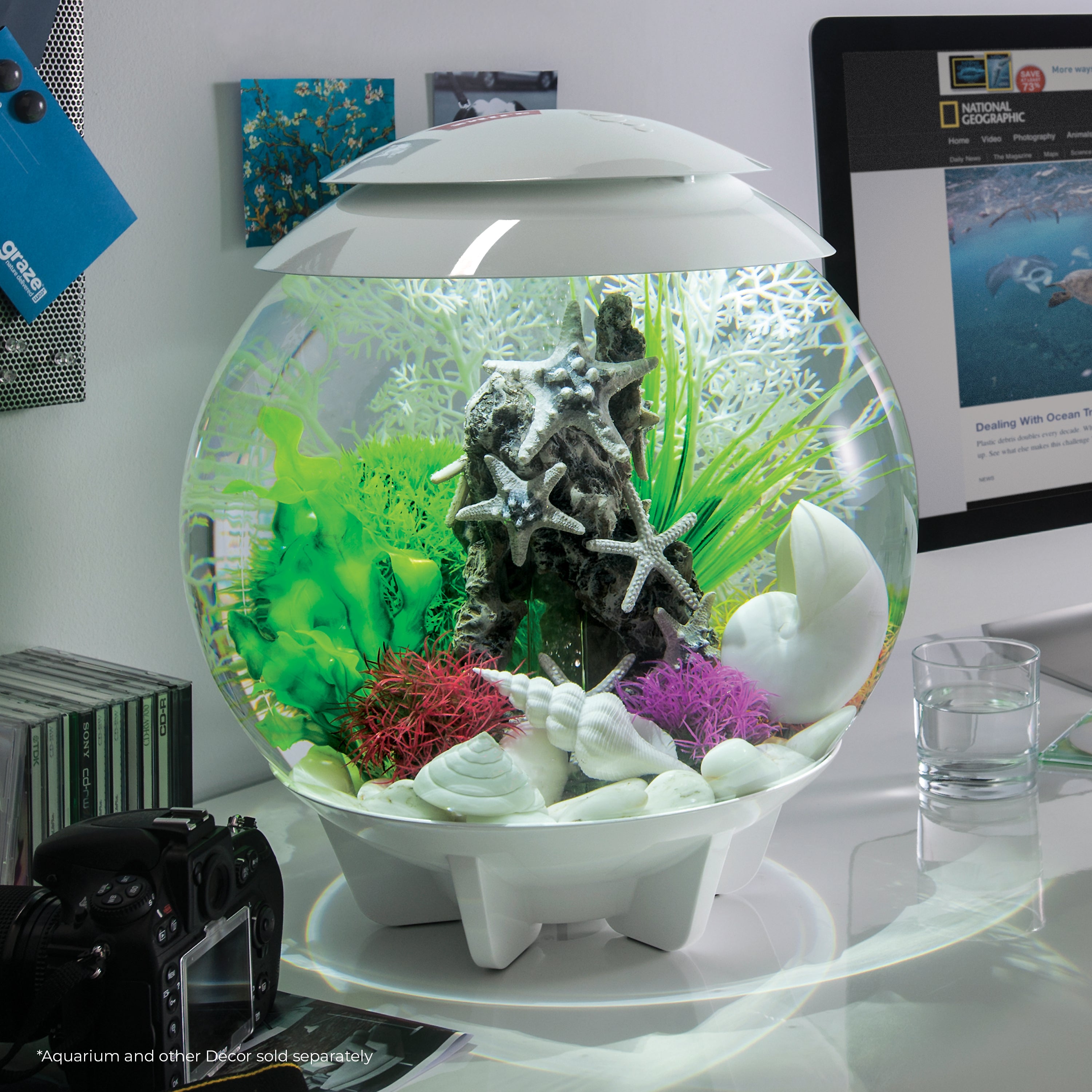 Sea Star Rock Sculpture In Use