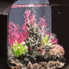 Sea Star Rock Sculpture In Use