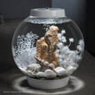 Sea Shell Set of 3 In Use