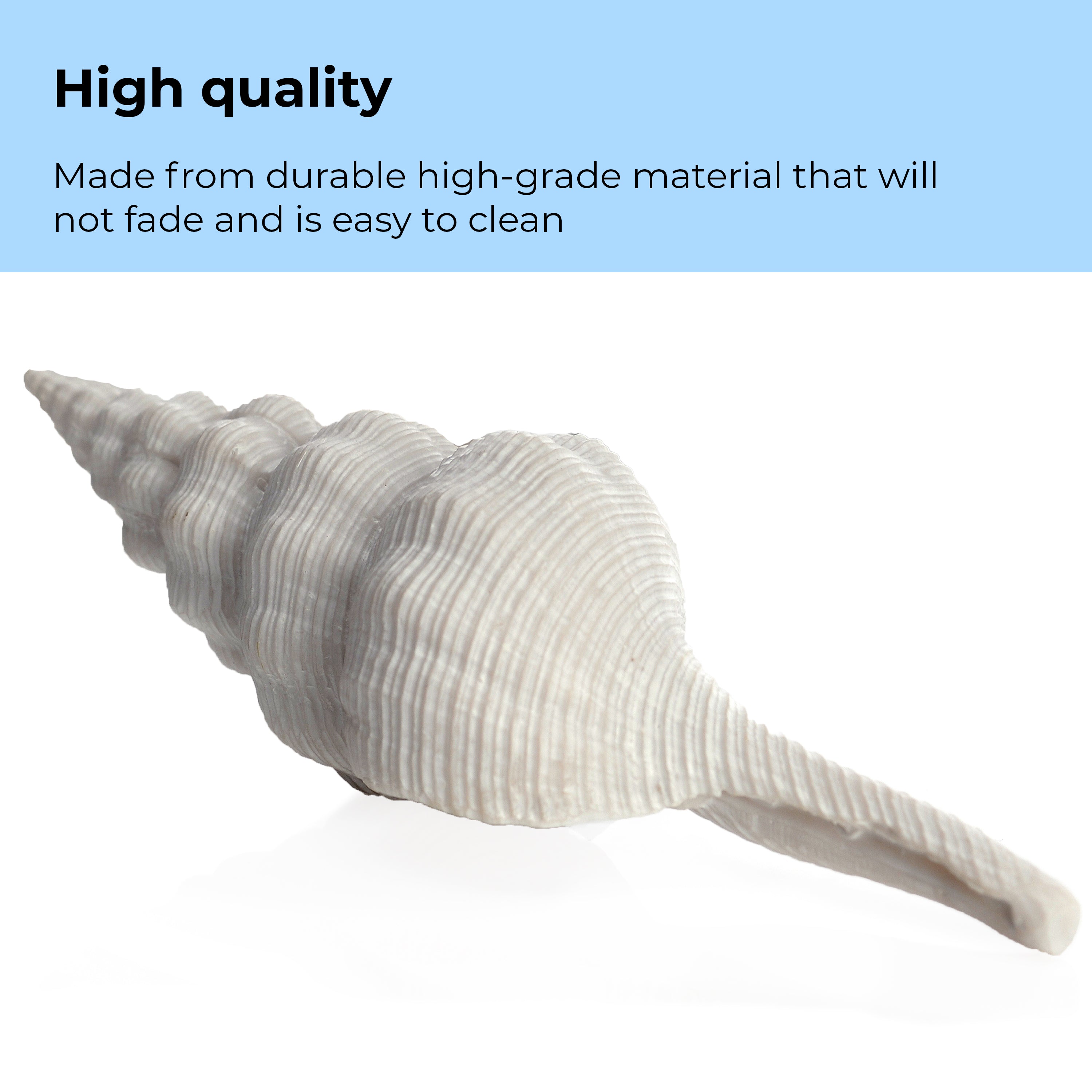 Sea Shell Set of 3 - High Quality