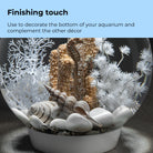 Sea Shell Set of 3 - Finishing touch