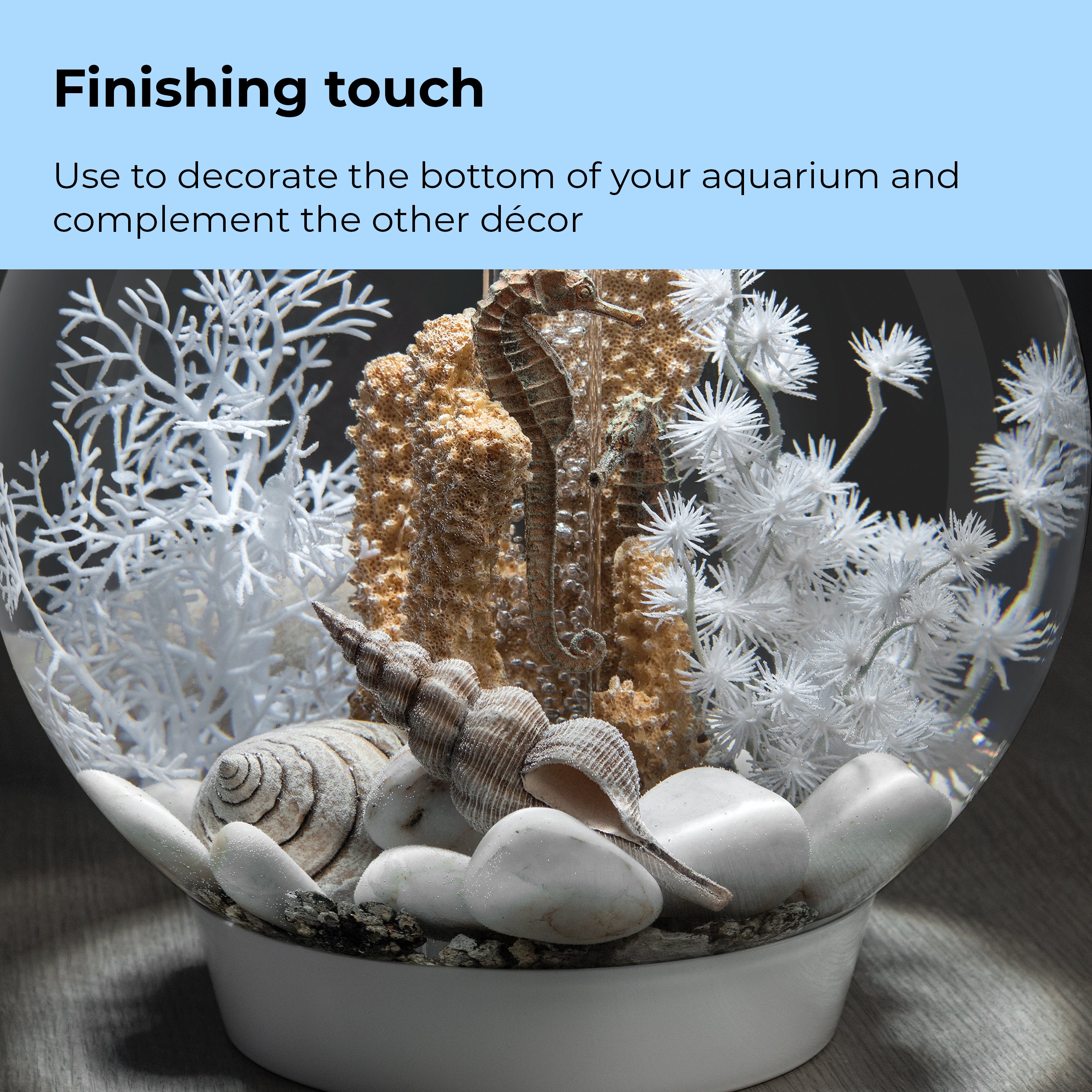 Sea Shell Set of 3 - Finishing touch