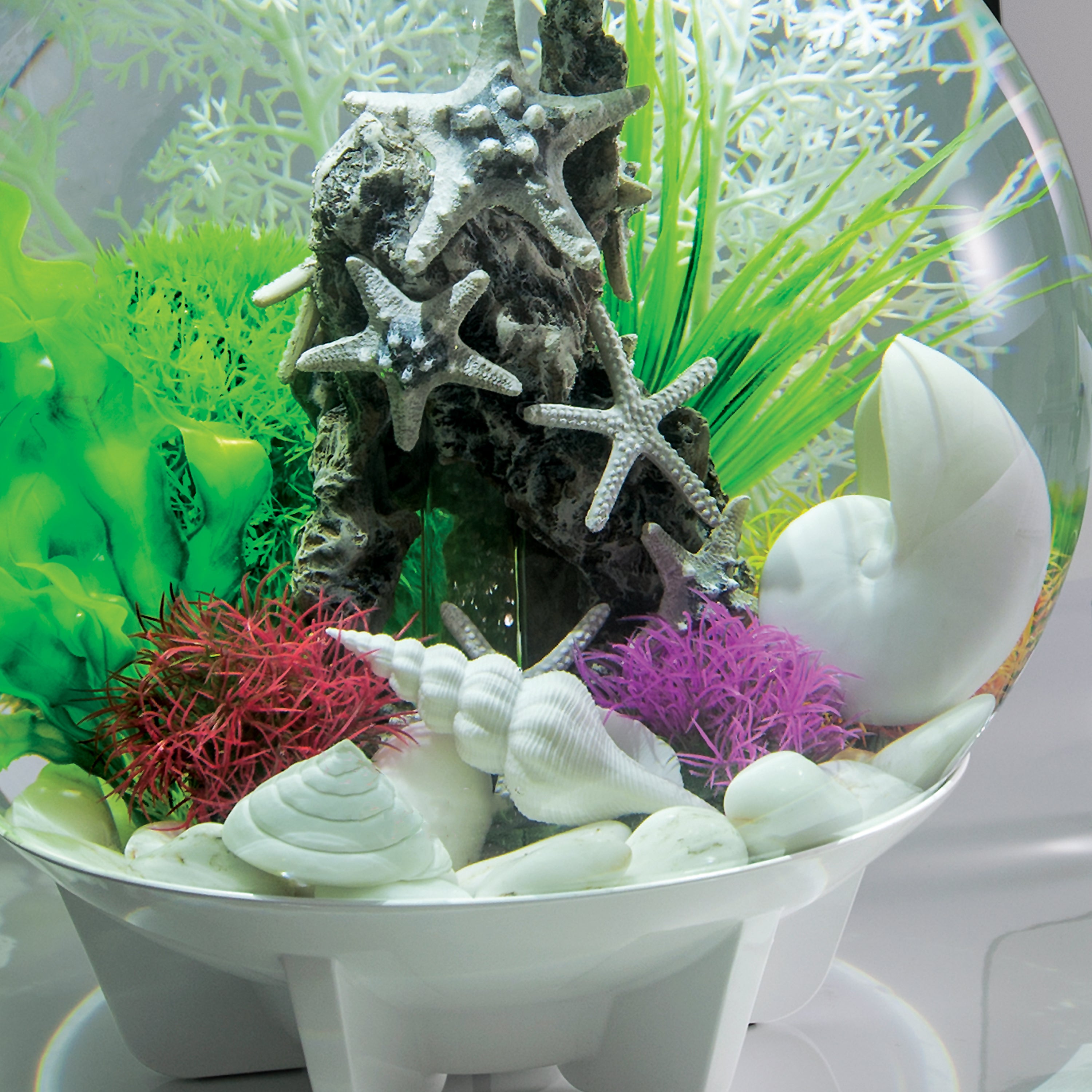 Sea Shell Set of 3 In Use