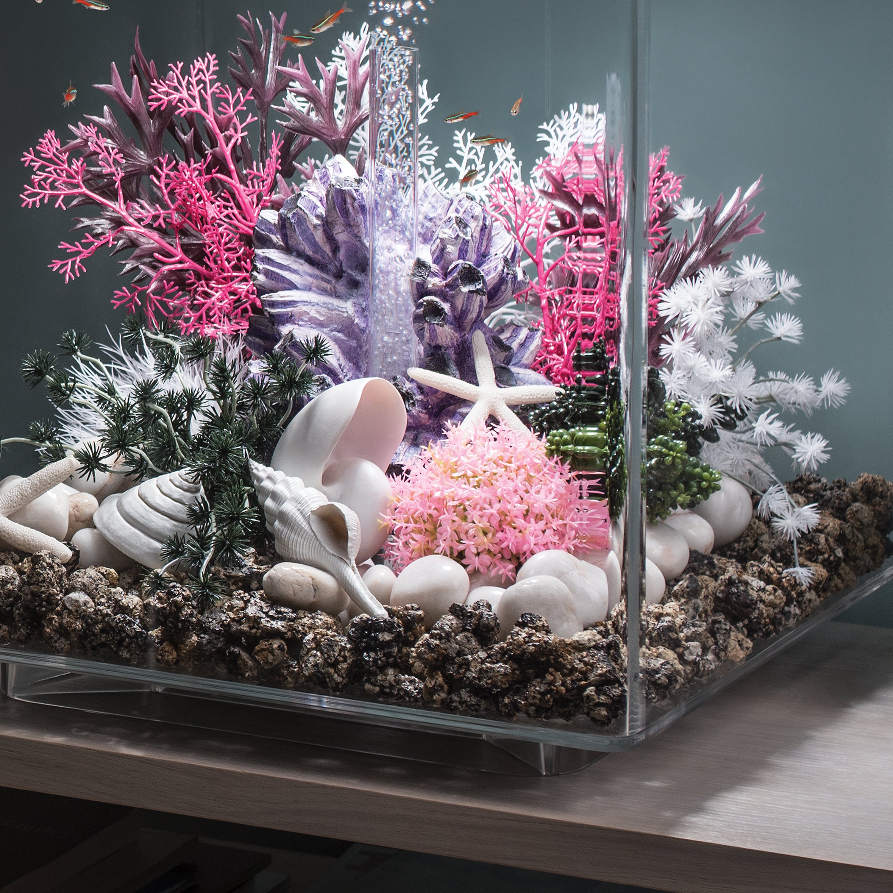 Sea Shell Set of 3 In Use