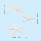 Starfish Set of 3 - Dimesions