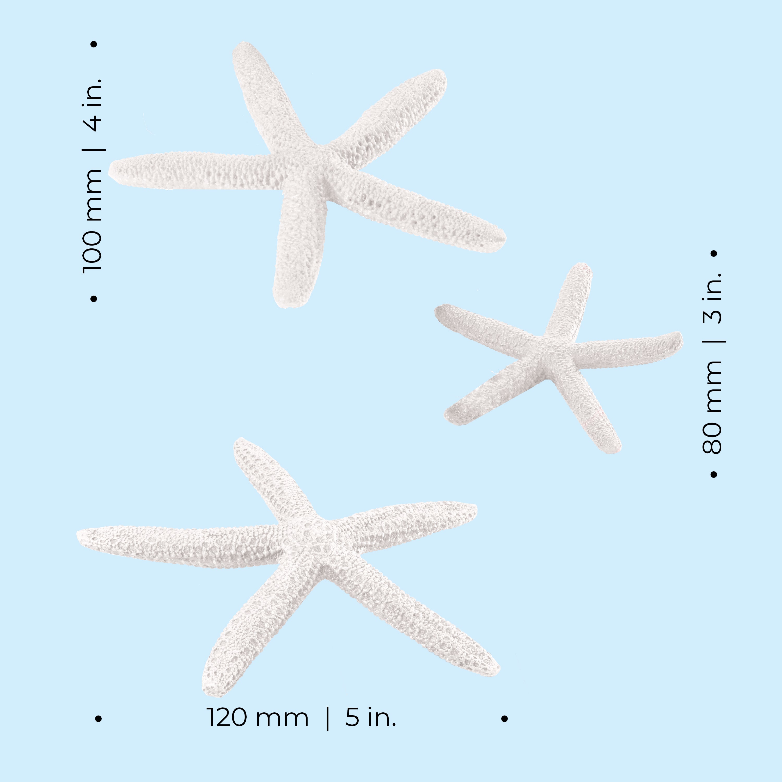 Starfish Set of 3 - Dimesions