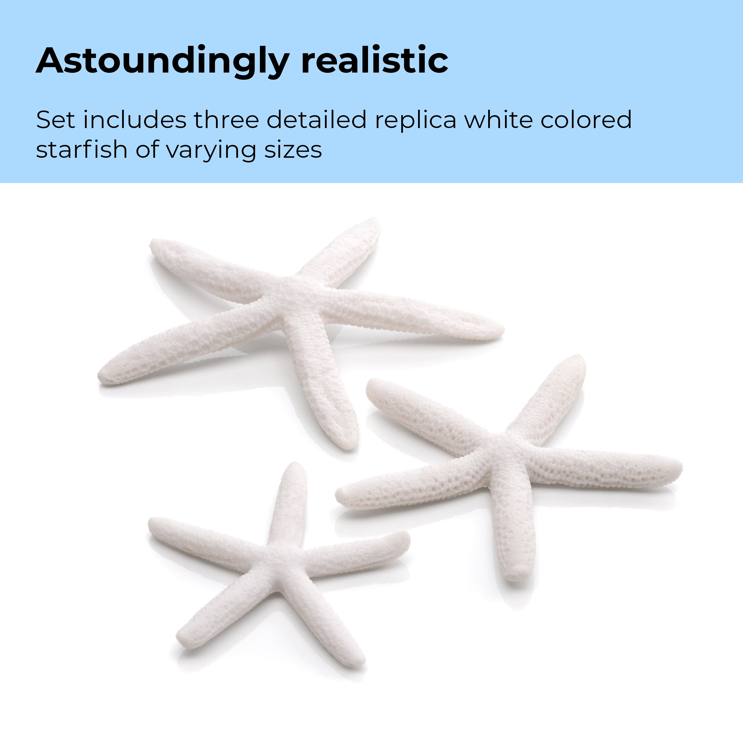 Starfish Set of 3 - Astoundingly realistic