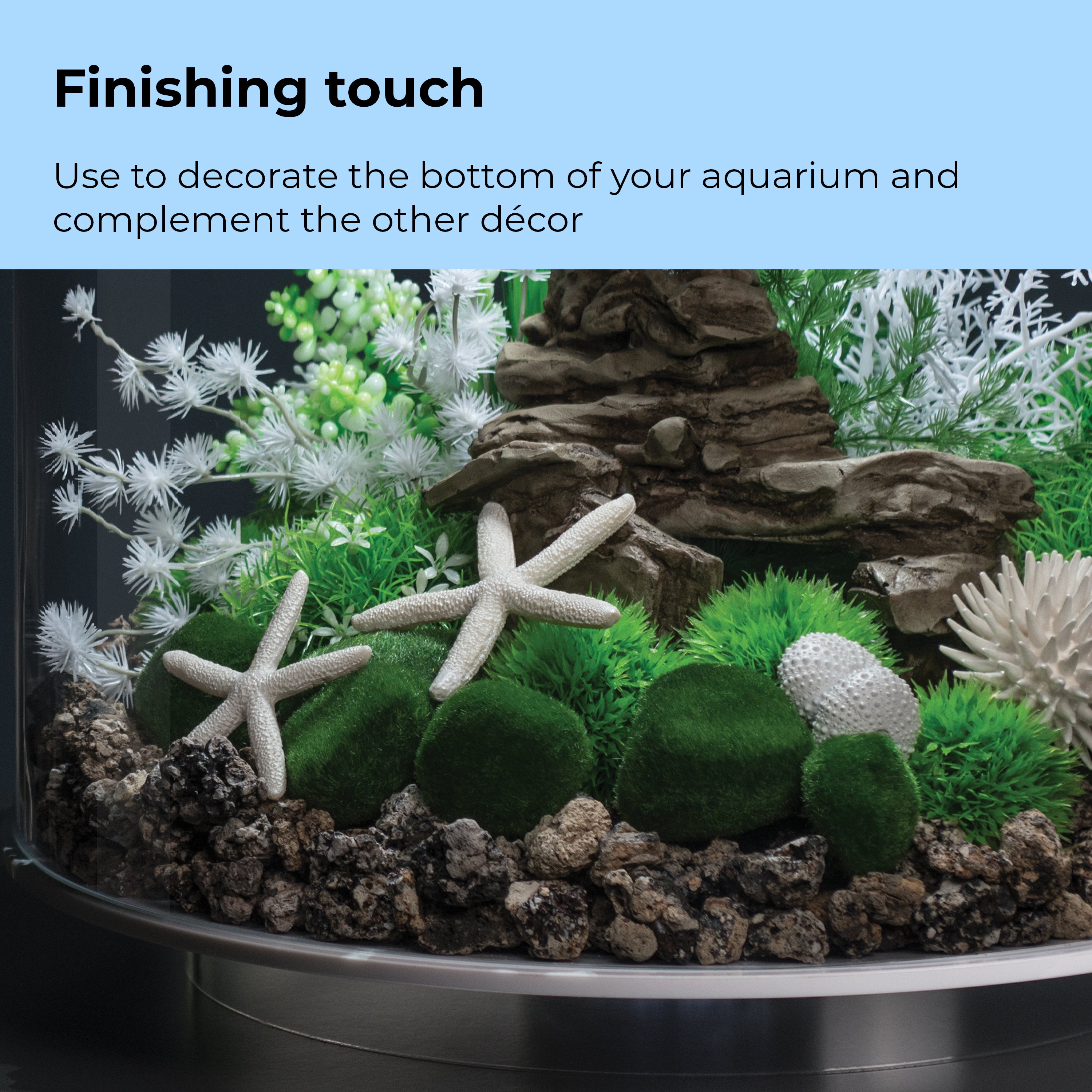 Starfish Set of 3 - Finishing Touch