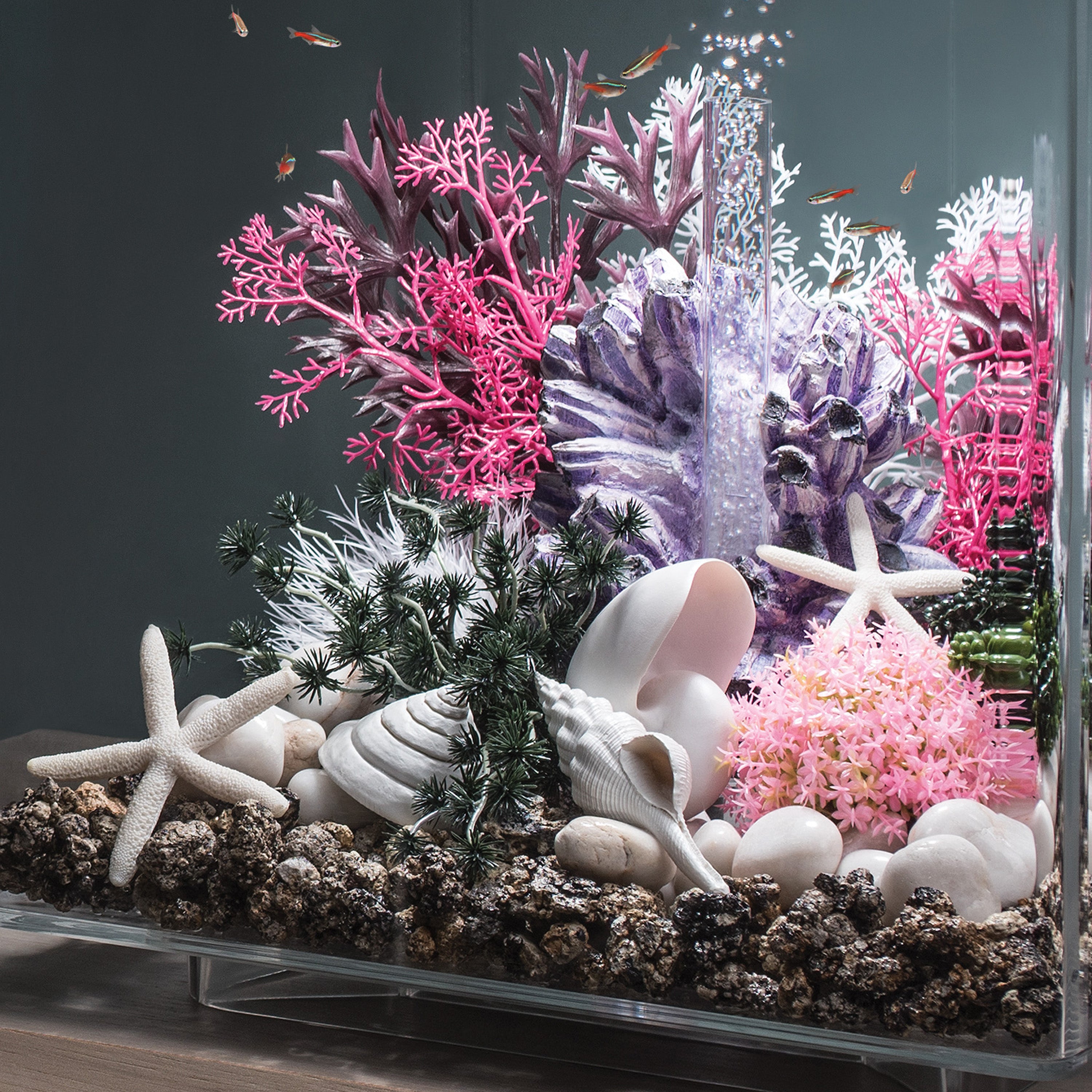 Starfish Set of 3 - In Use