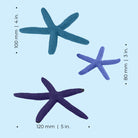 Starfish Set of 3 - Dimensions