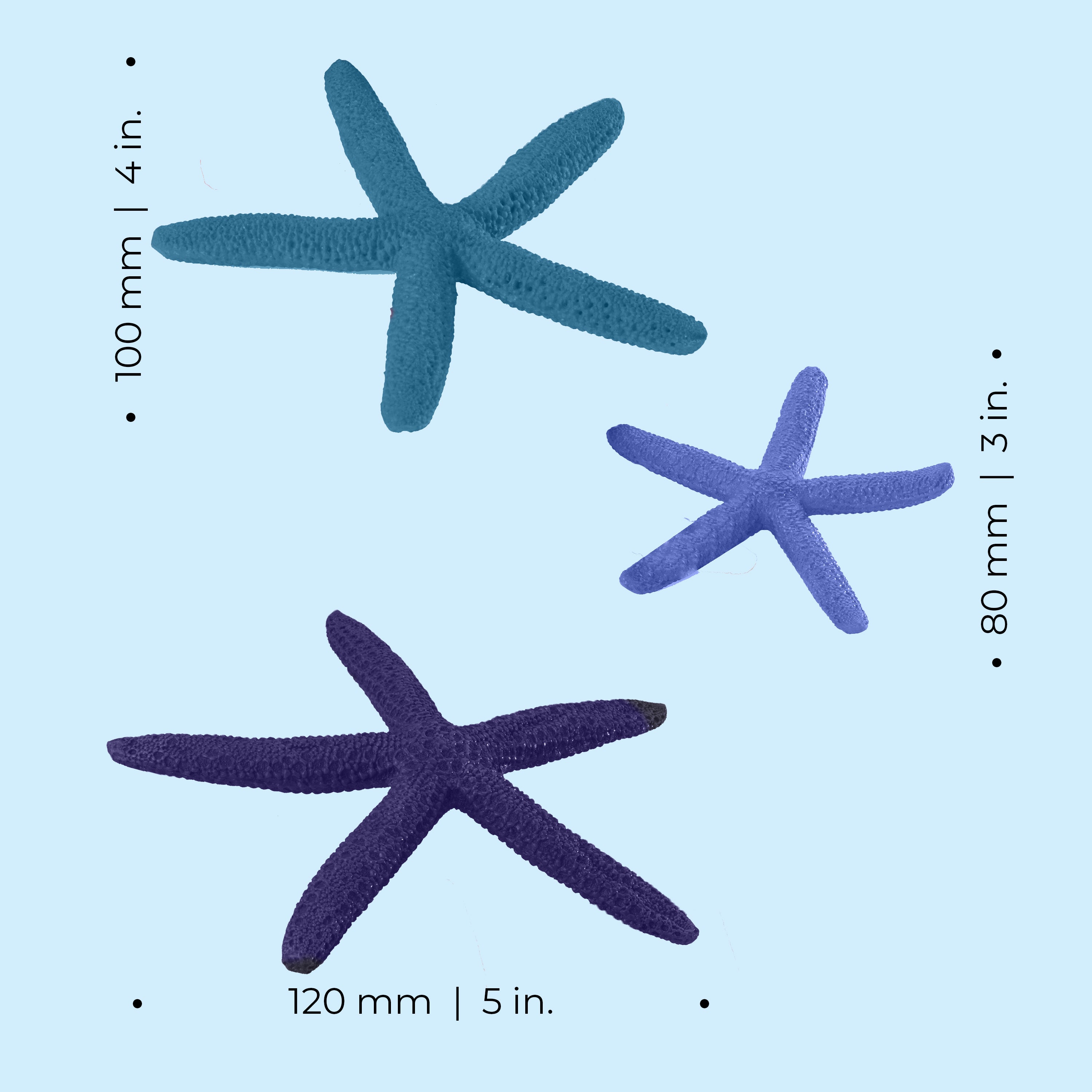 Starfish Set of 3 - Dimensions