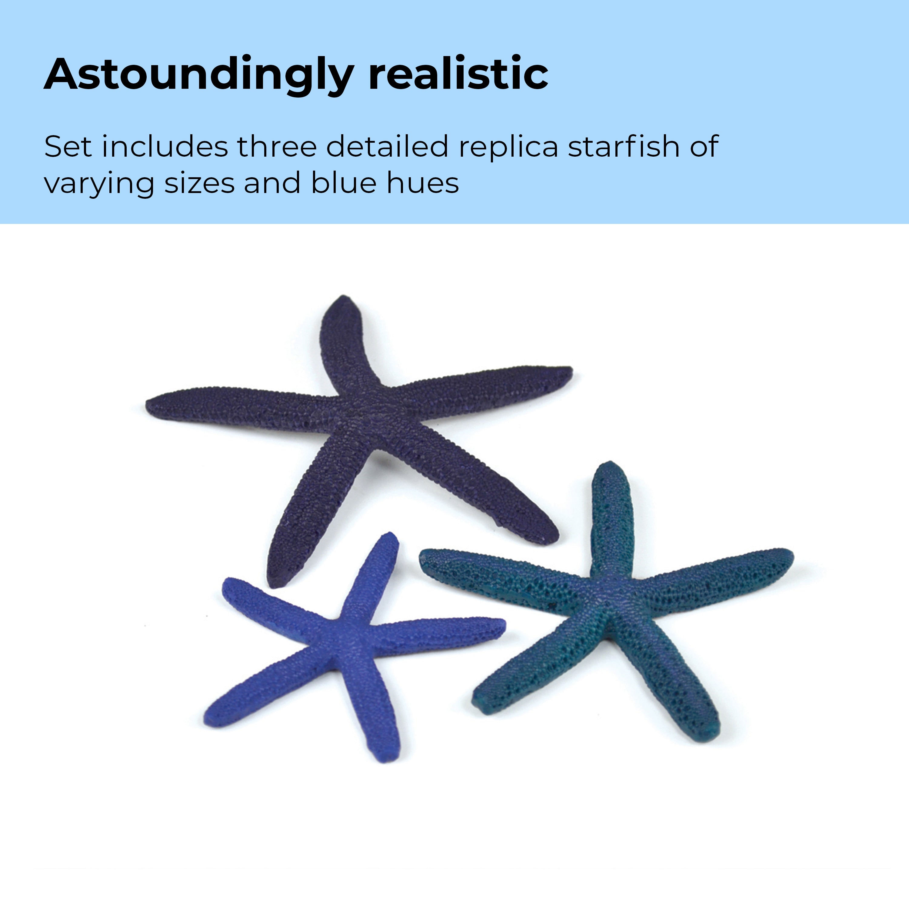 Starfish Set of 3 - Astoundingly realistic