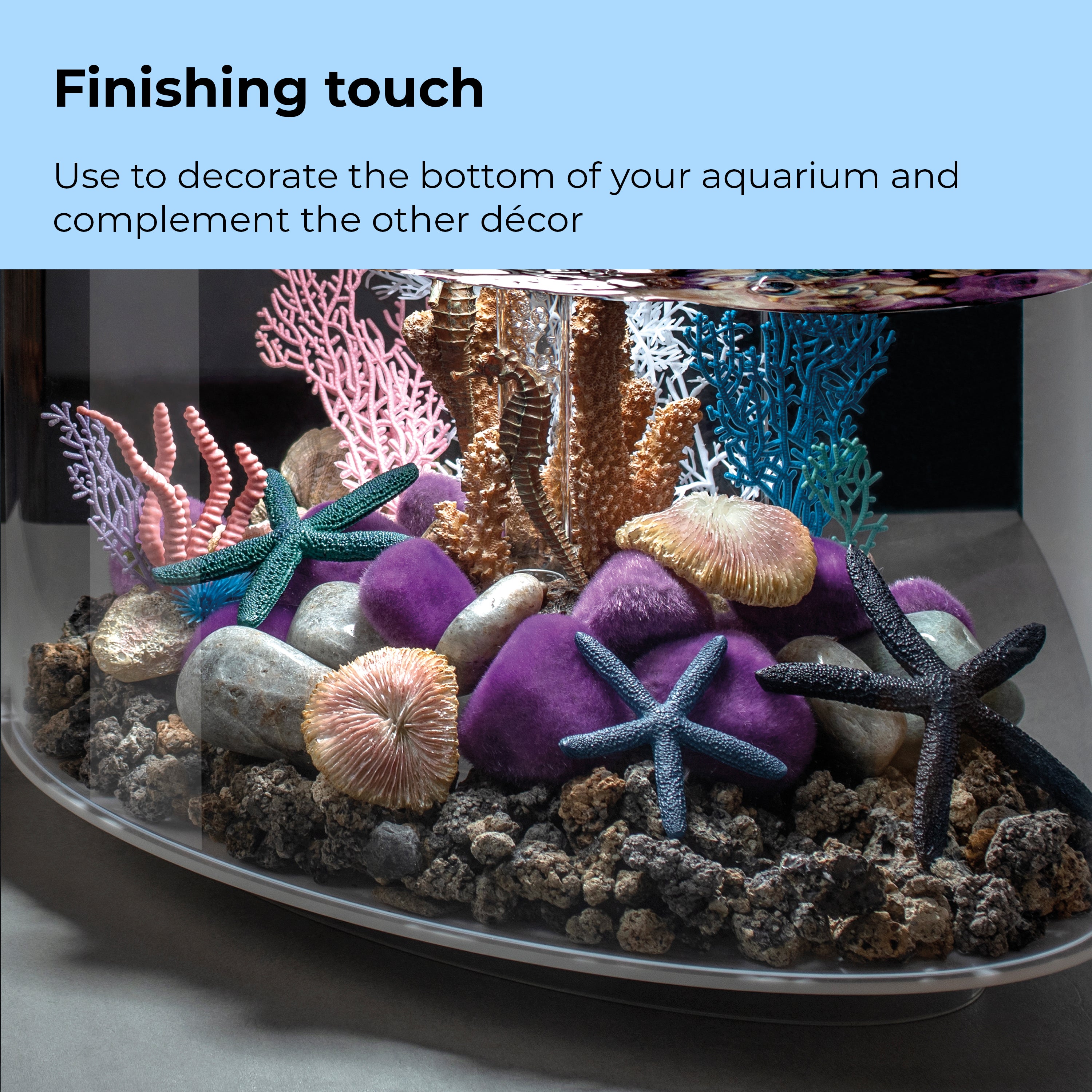 Starfish Set of 3 - Finishing touch