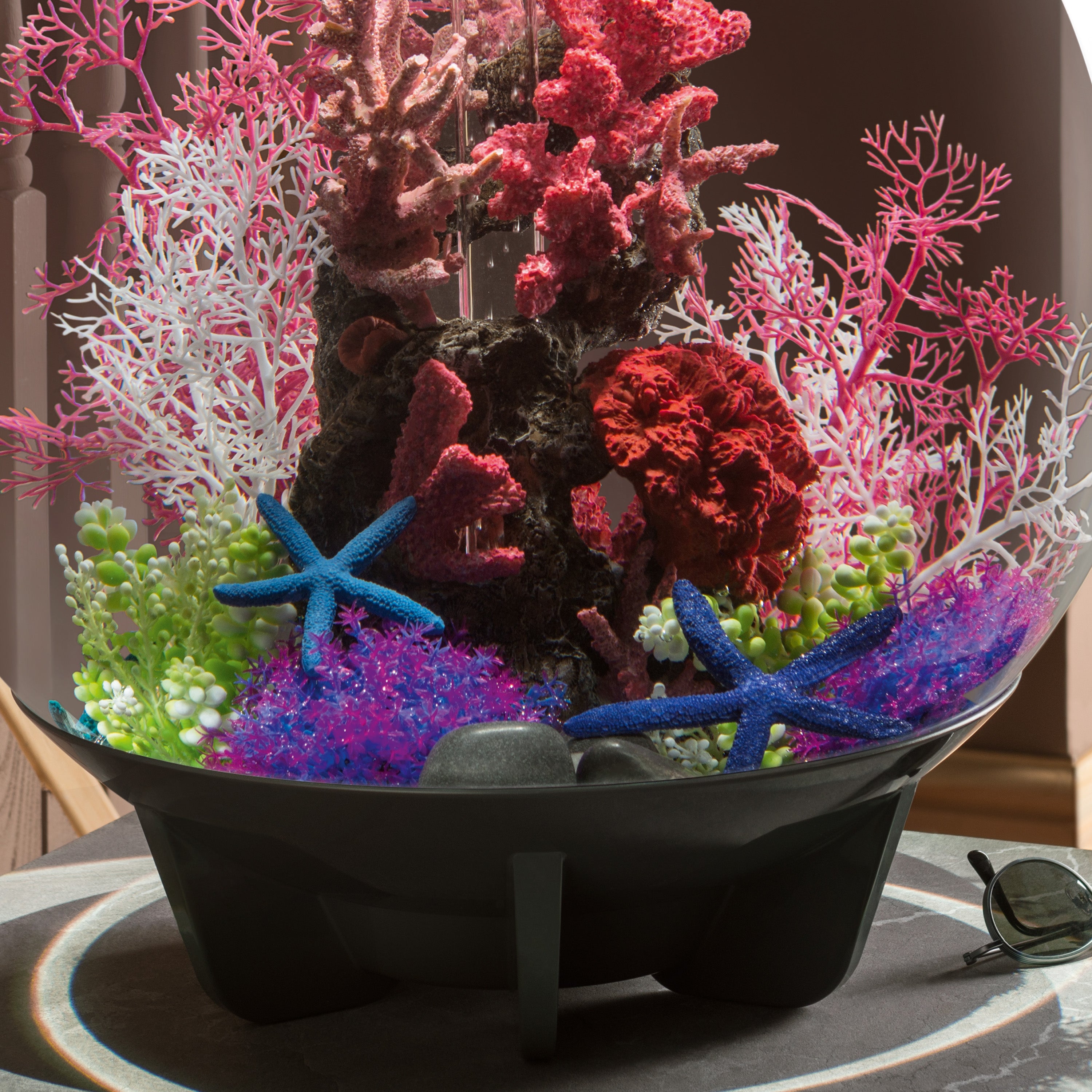 Starfish Set of 3 - In Use