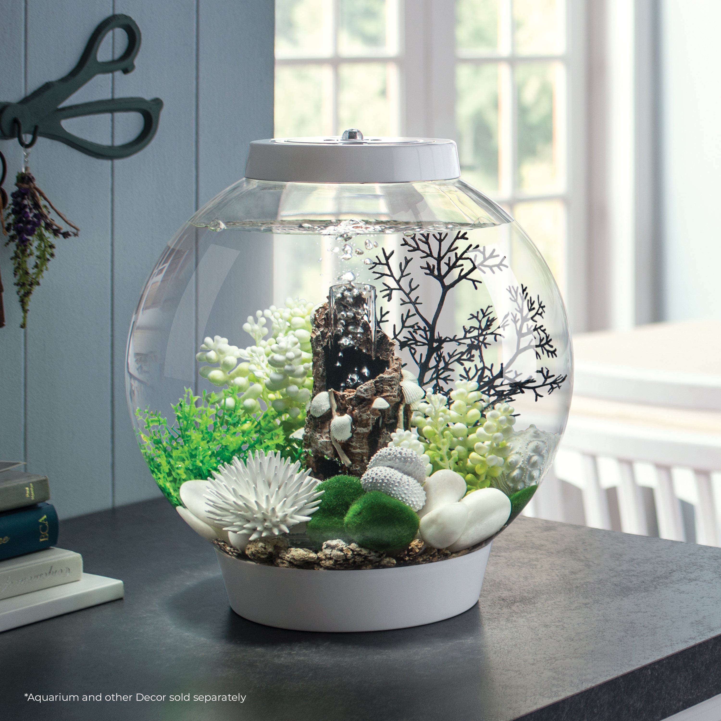 Small Shells on Bark Sculpture In Use