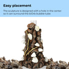 Small Shells on Bark Sculpture - Easy placement