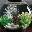 Small Shells on Bark Sculpture In Use