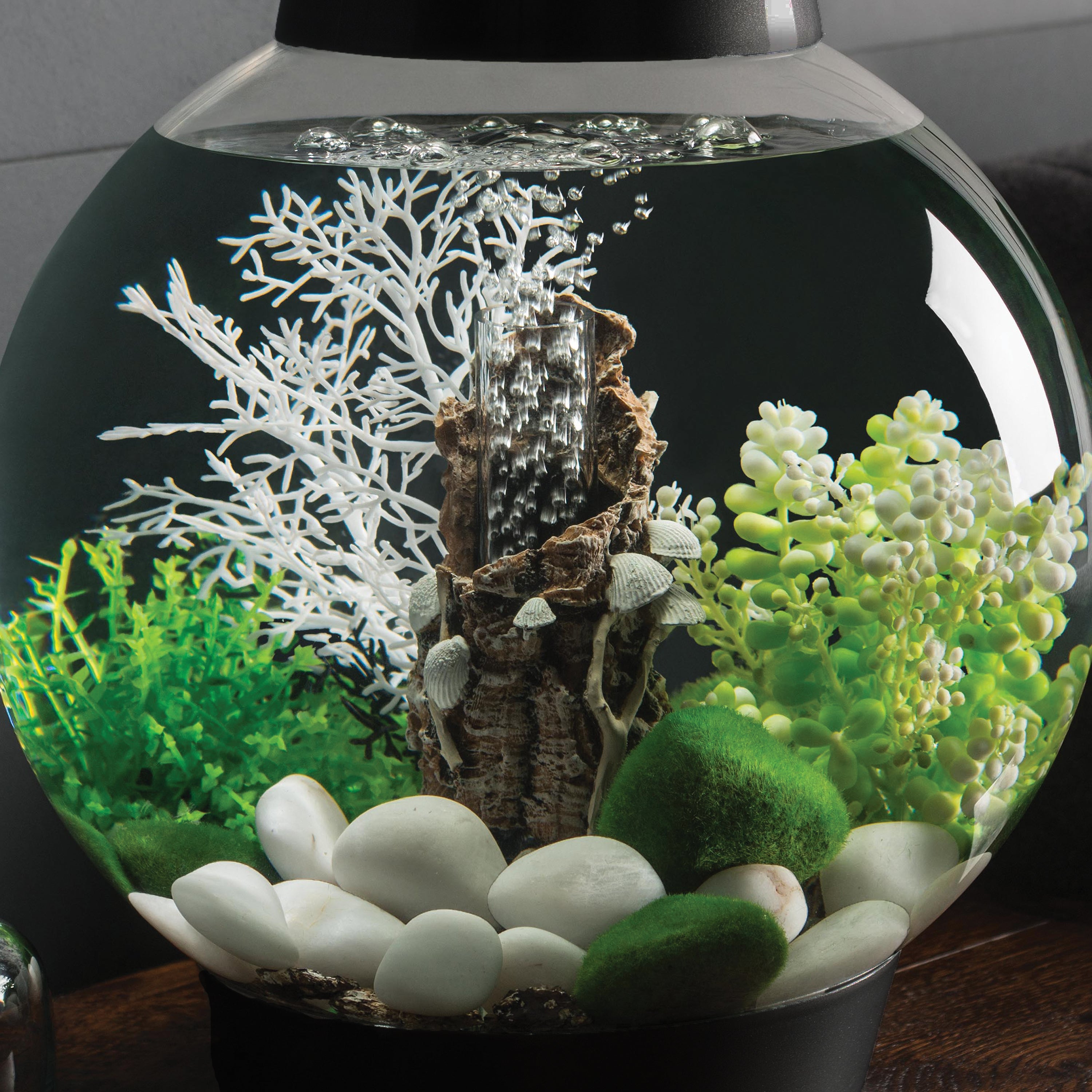 Small Shells on Bark Sculpture In Use