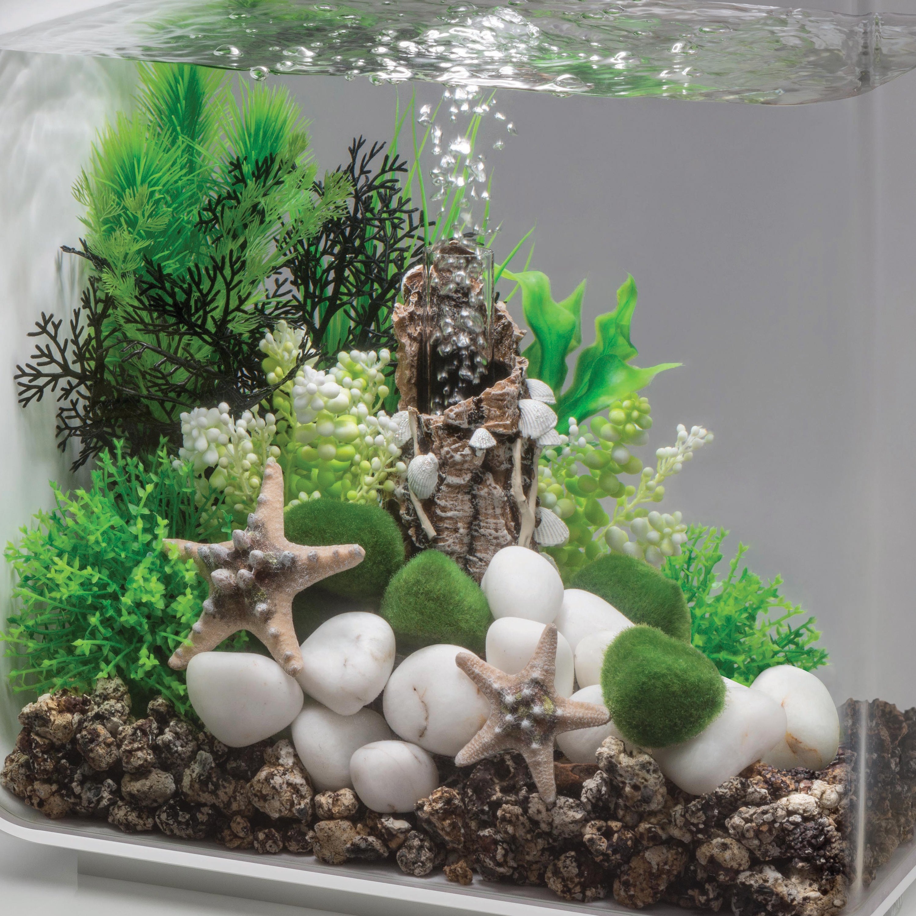 Small Shells on Bark Sculpture In Use