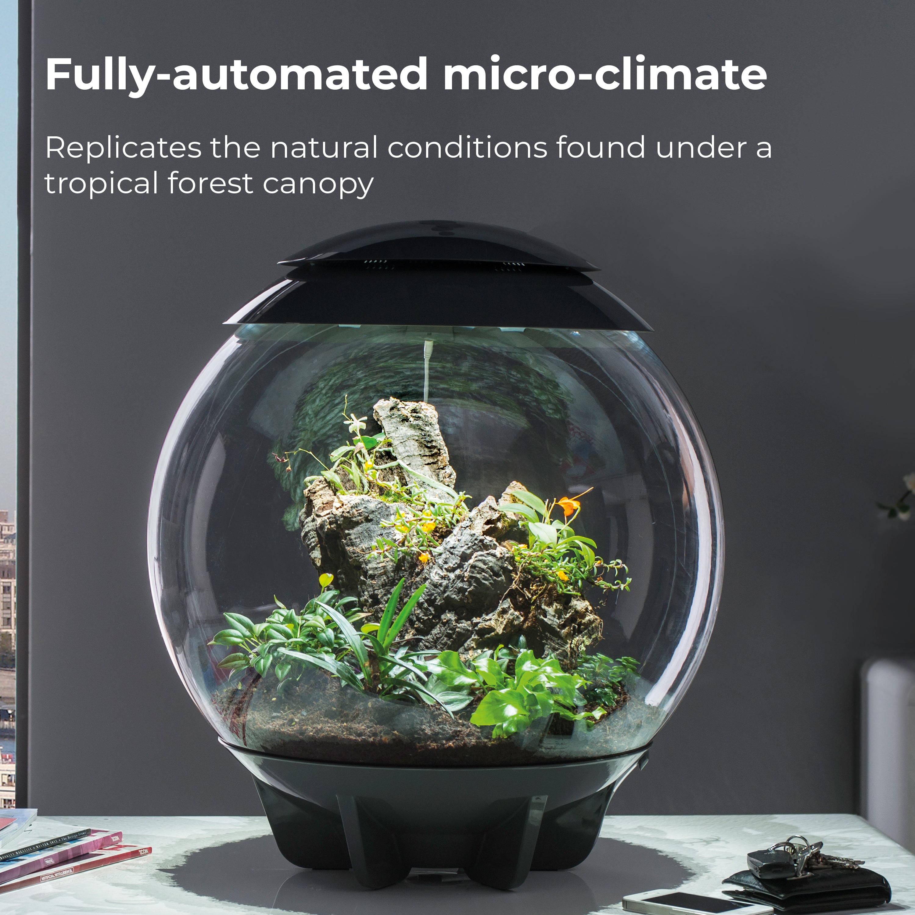 biOrb AIR 60 Terrarium for Stylish Indoor Gardening | biOrb UK
