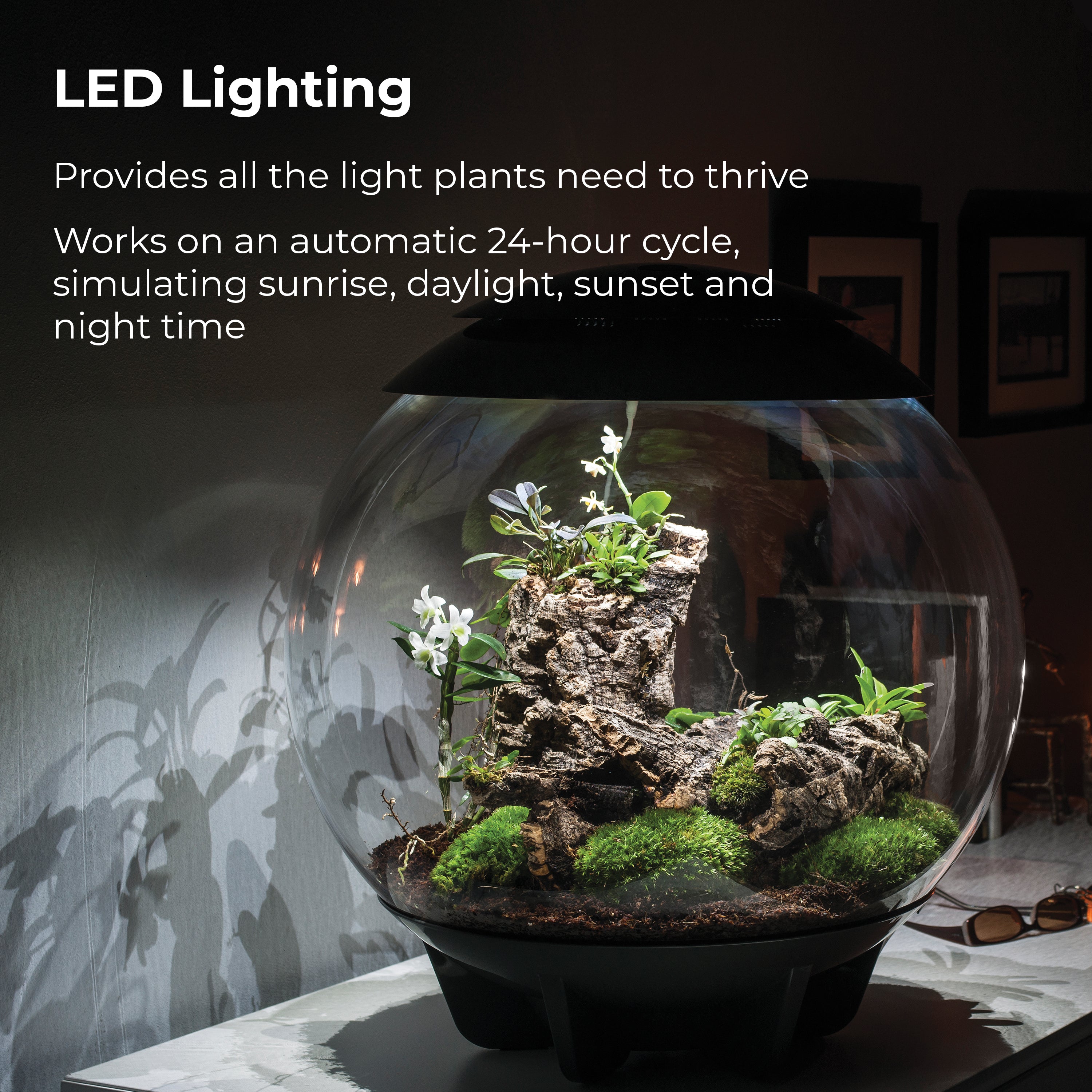 AIR 60 Terrarium - LED Lighting