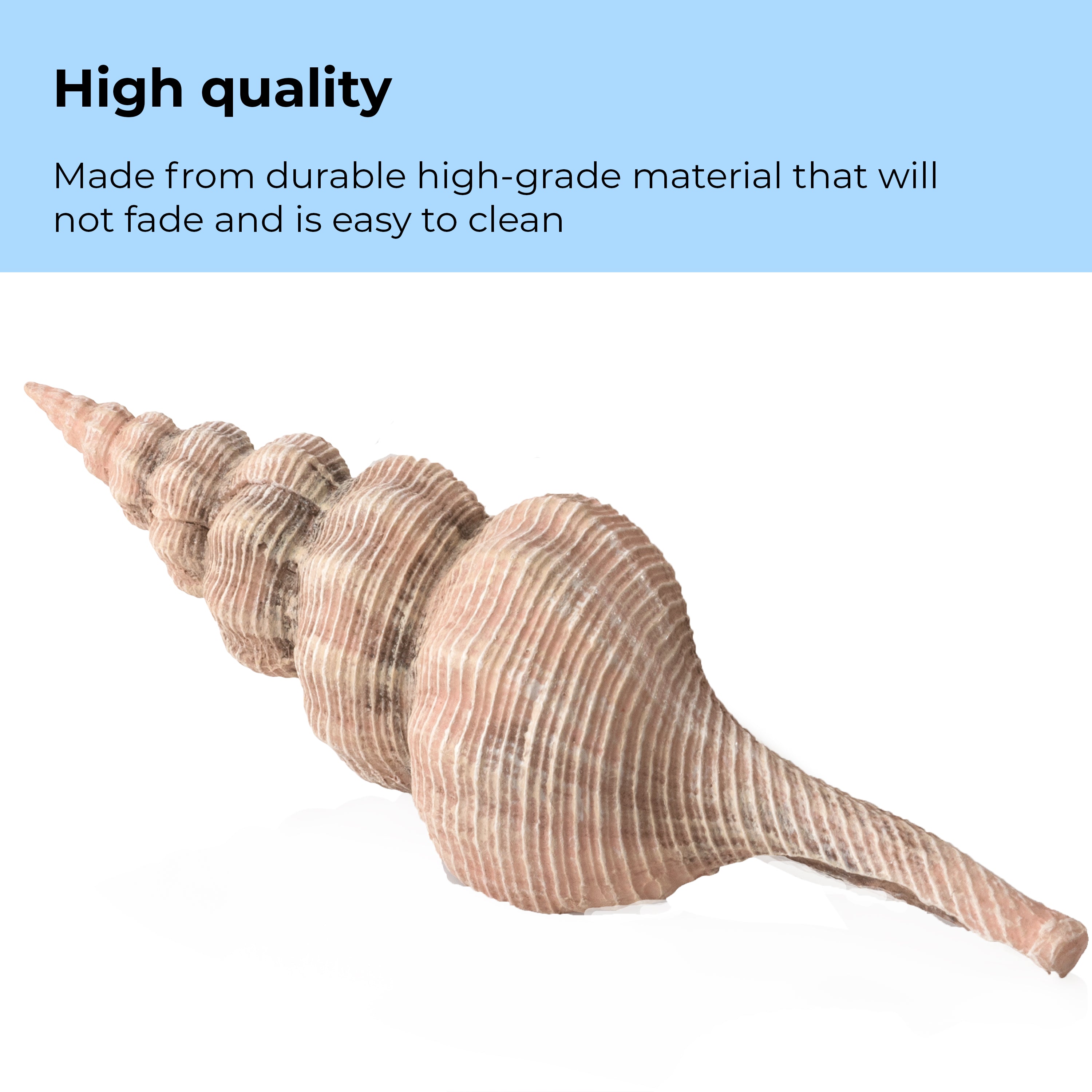 Sea Shell Set of 3 - High Quality