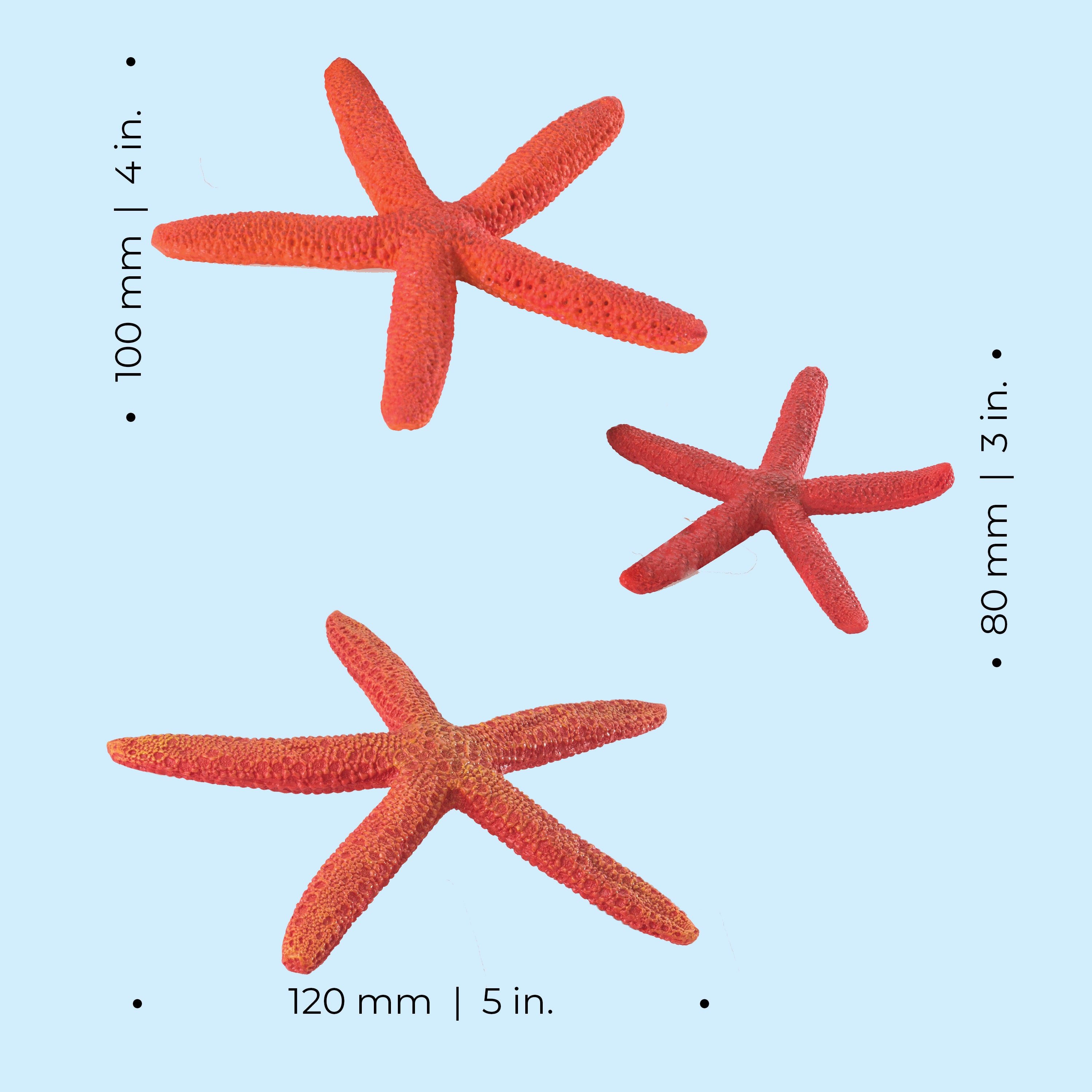 Starfish Set of 3 - Dimensions