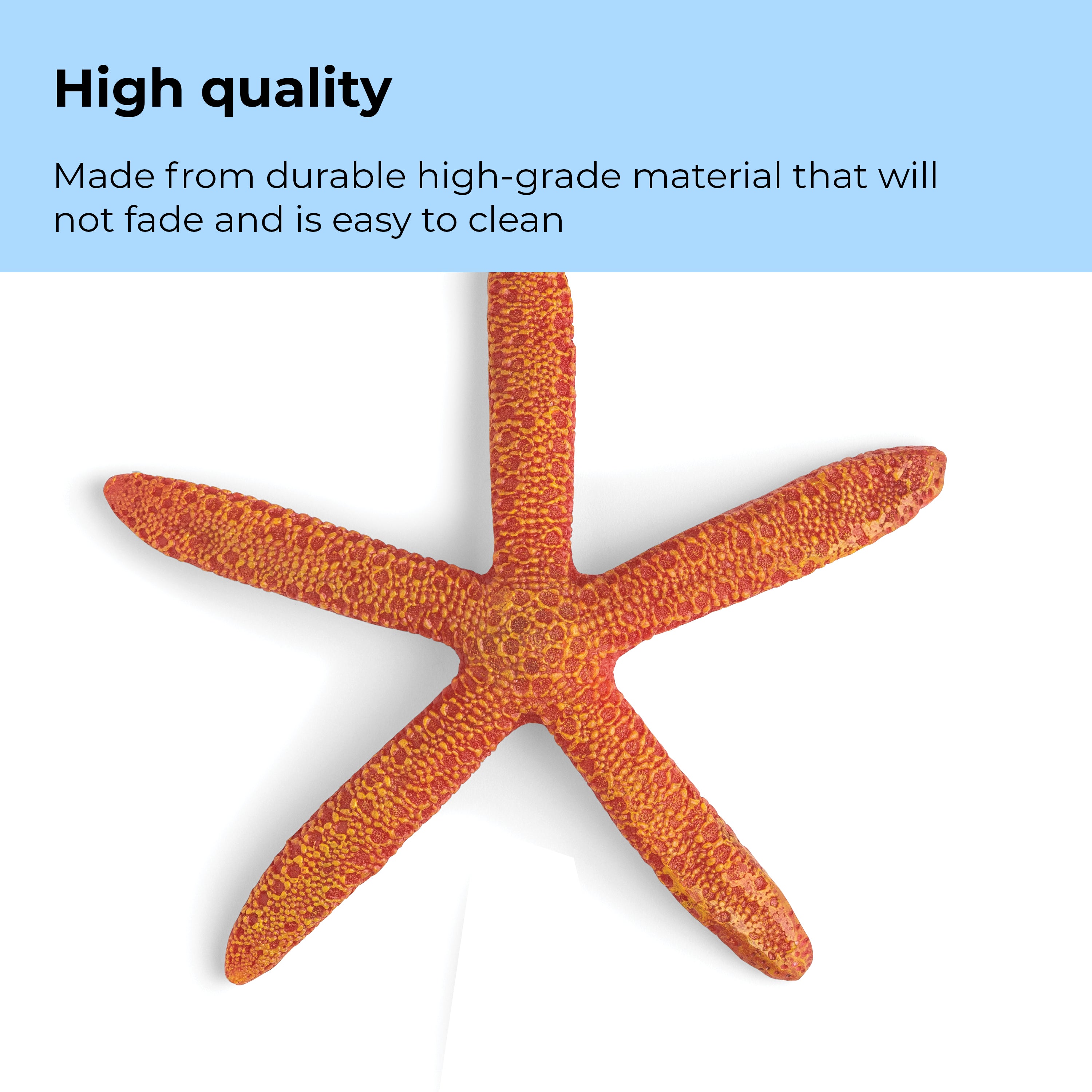 Starfish Set of 3 - High quality