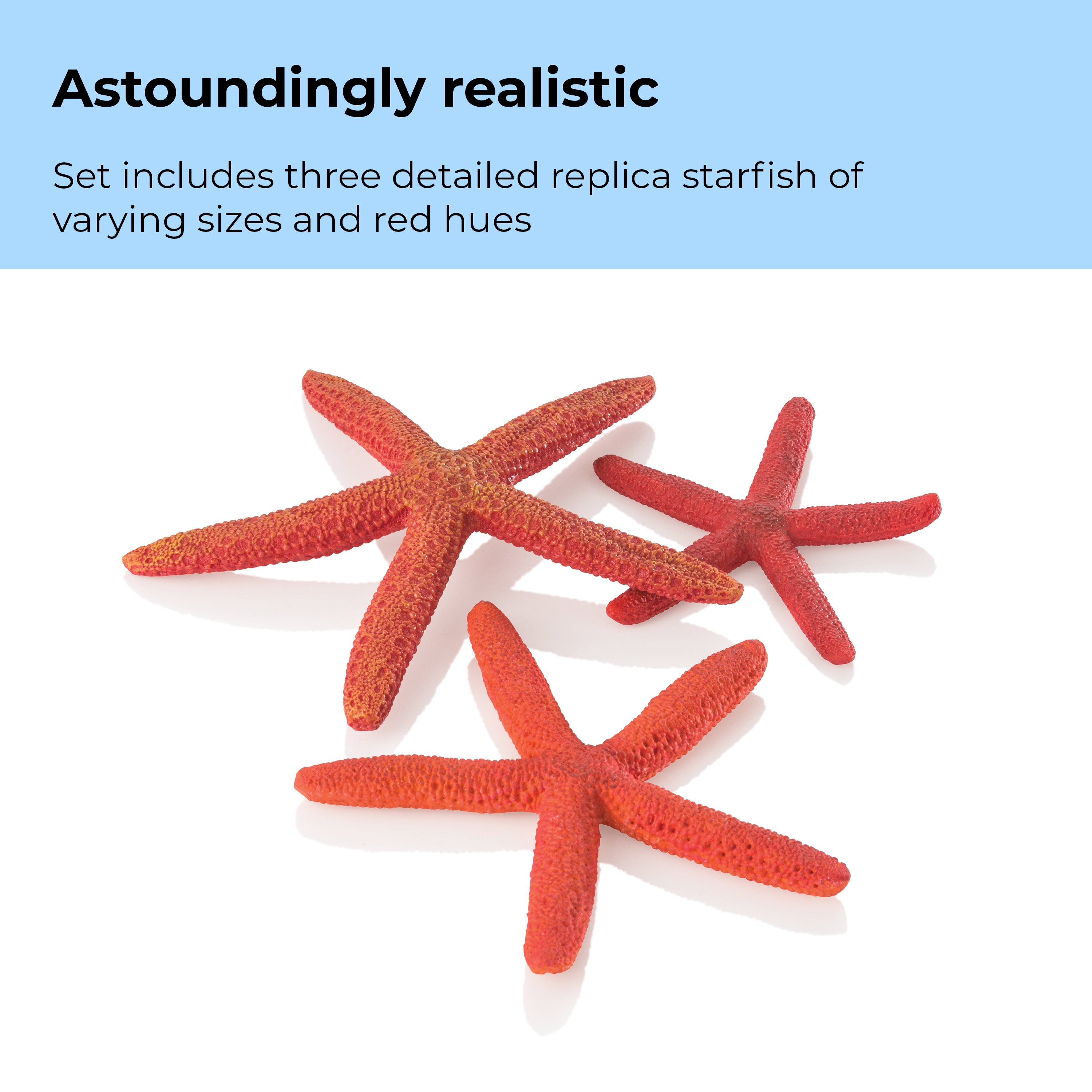 Starfish Set of 3 - Astoundingly realistic