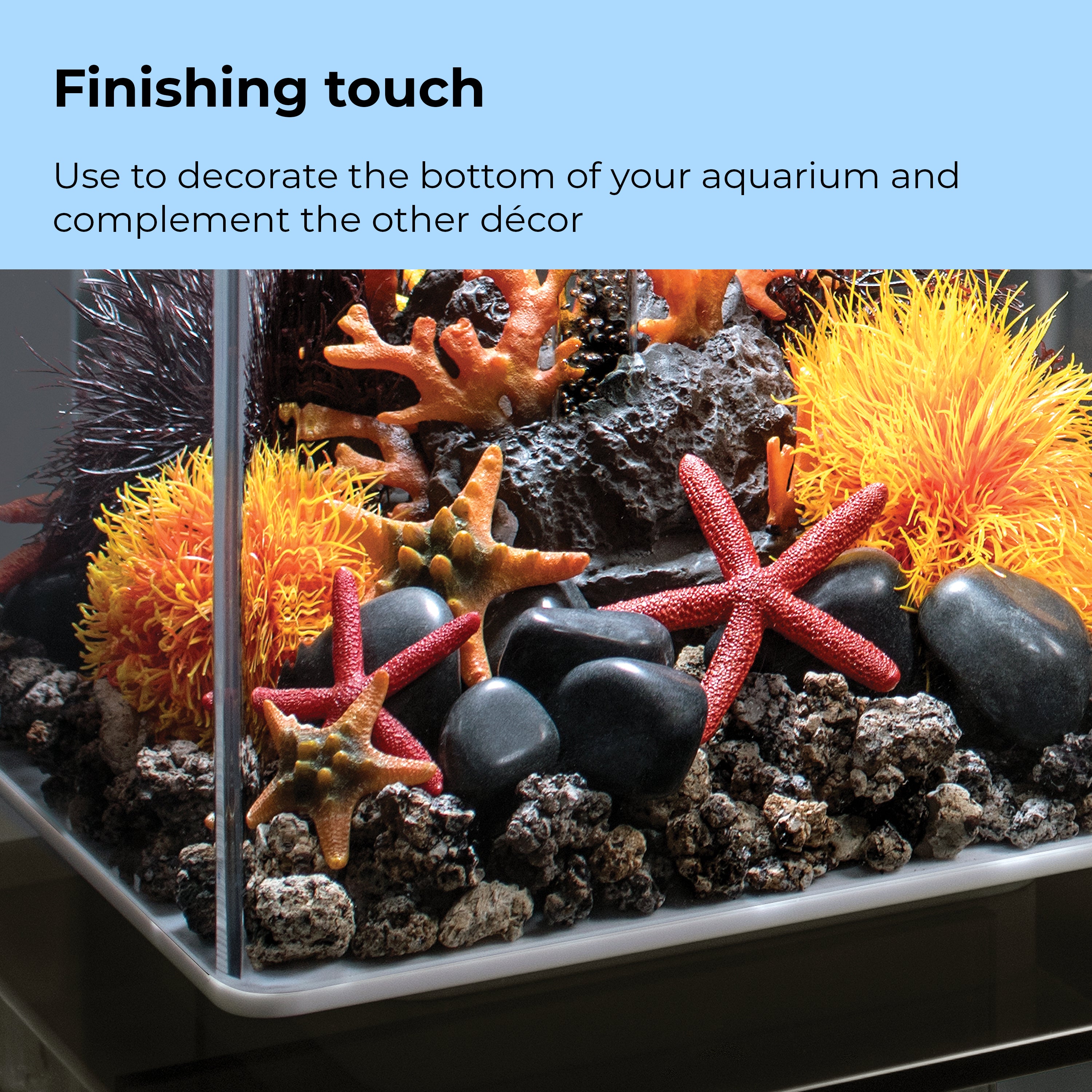 Starfish Set of 3 - Finishing Touch