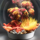 Starfish Set of 3 In Use