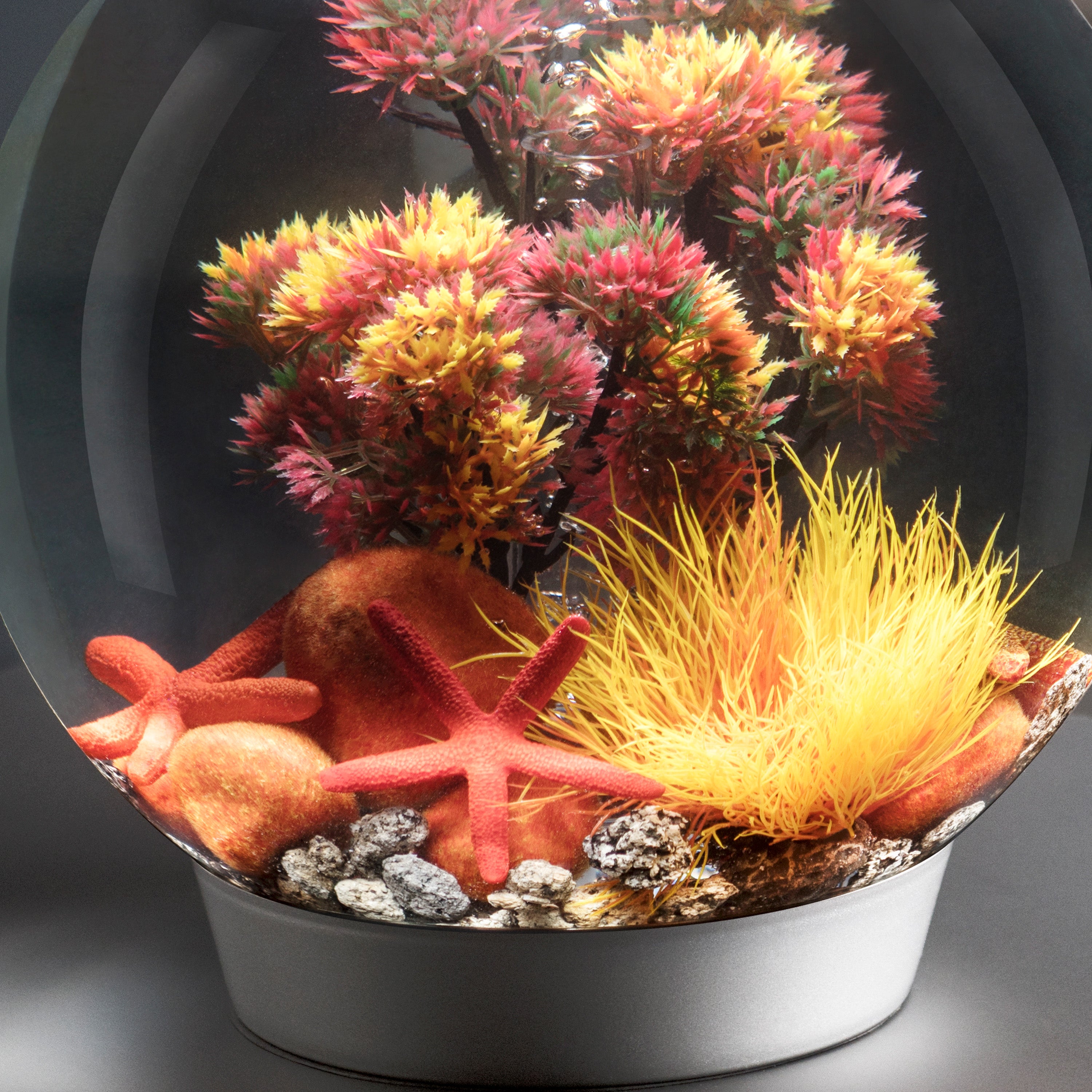 Starfish Set of 3 In Use