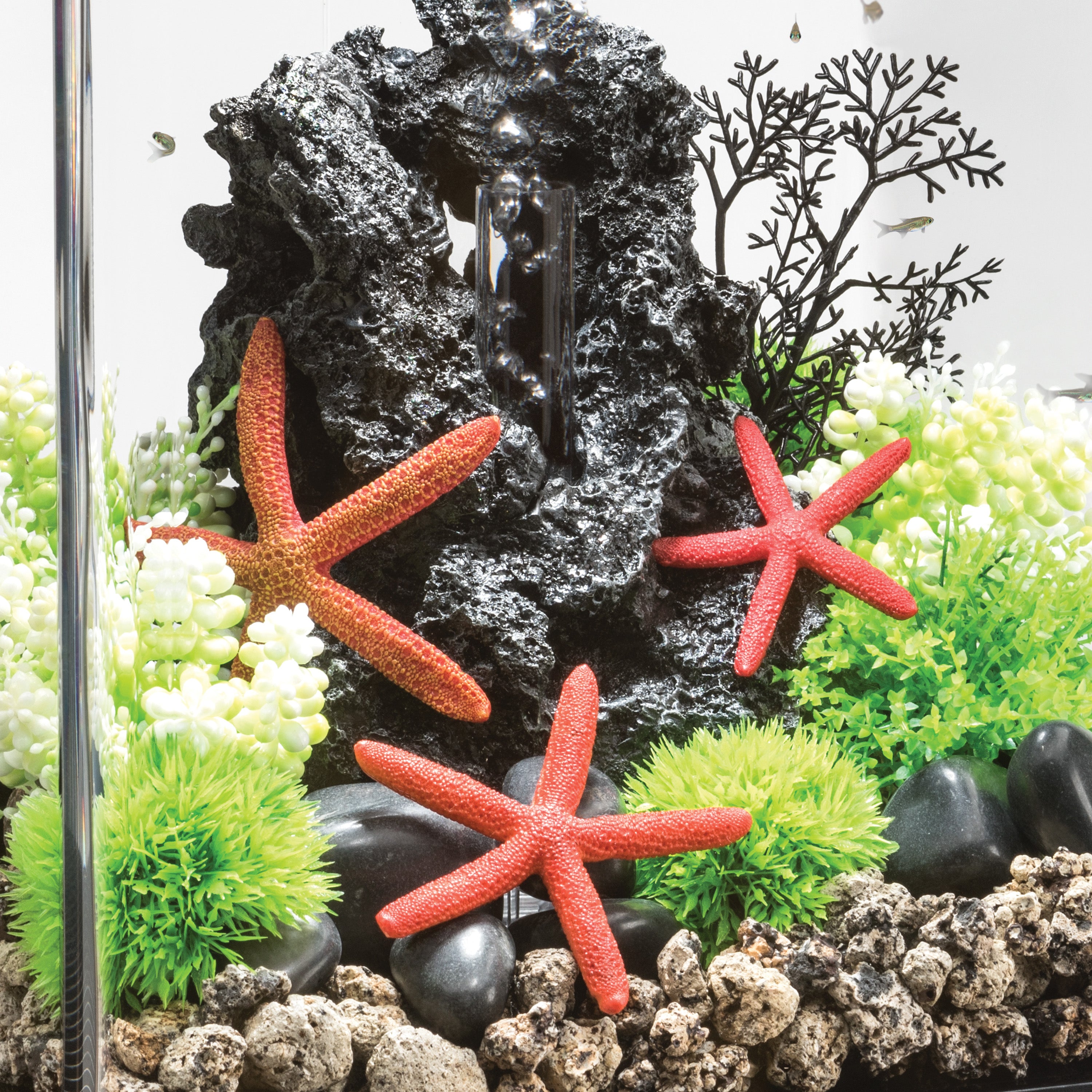 Starfish Set of 3 In Use