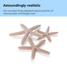 Starfish Set of 3 - Astoundingly realistic