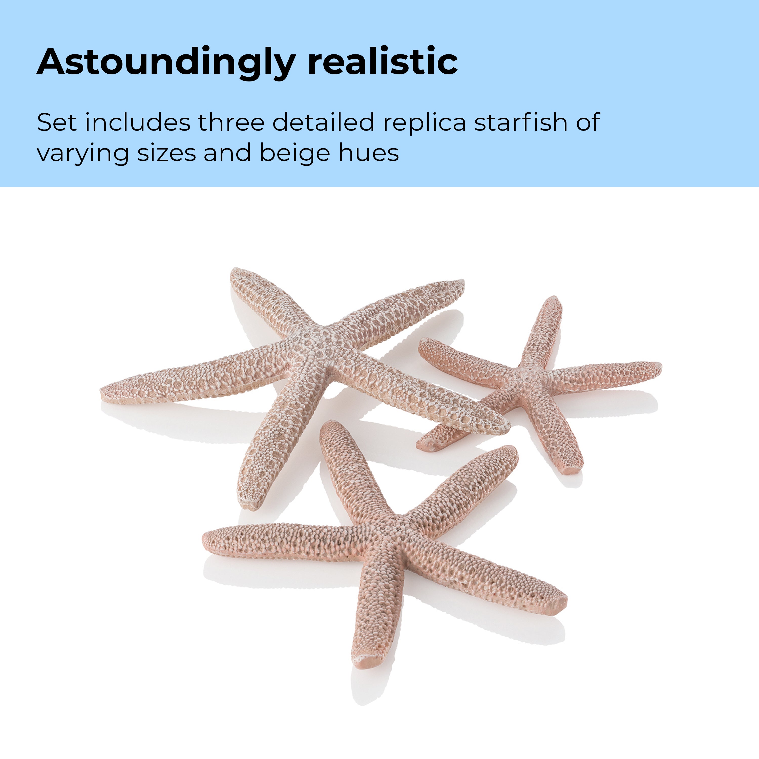 Starfish Set of 3 - Astoundingly realistic