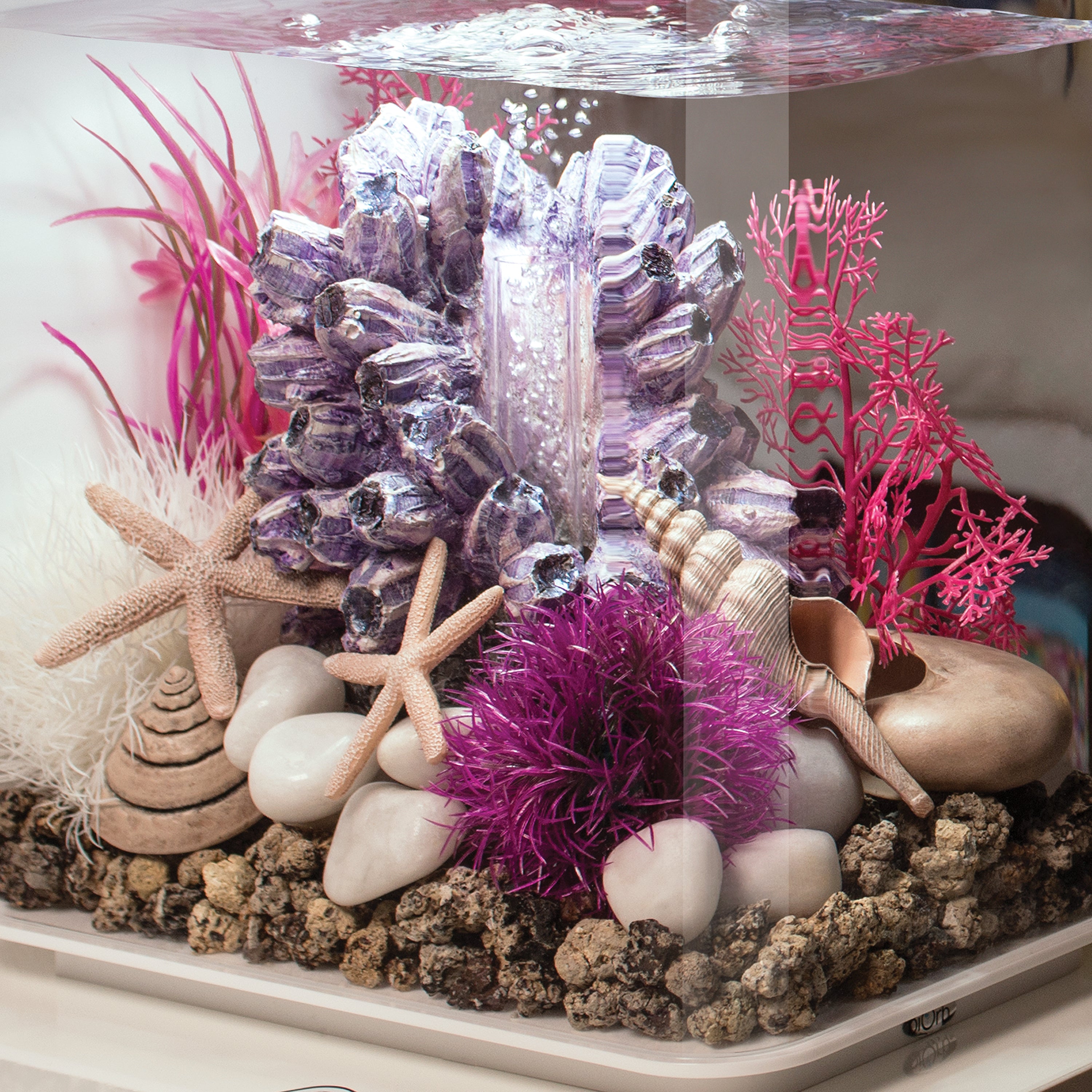 Starfish Set of 3 - In Use