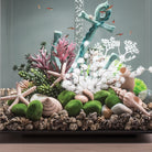 Starfish Set of 3 - In Use