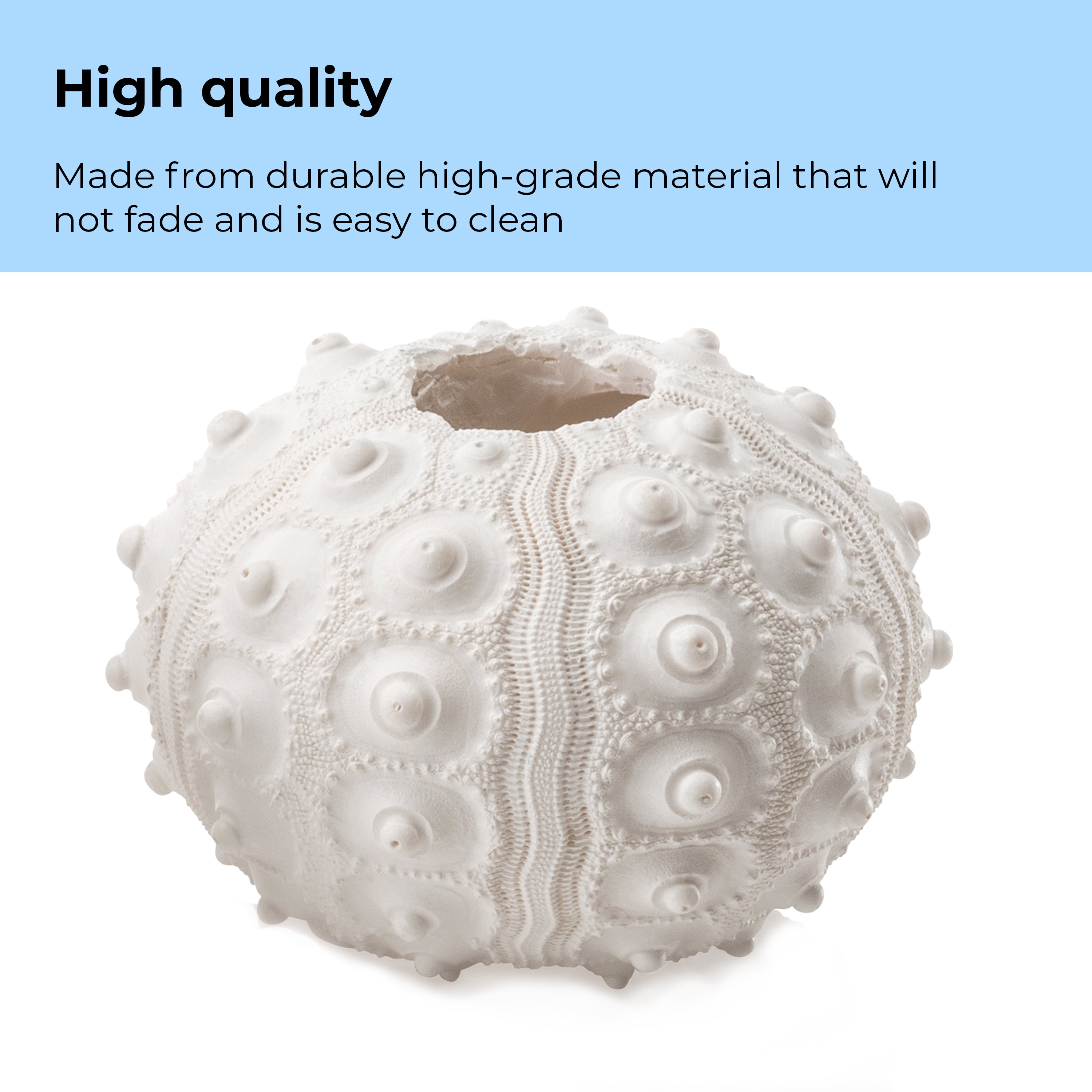 Sea Urchins Set of 3 - High quality
