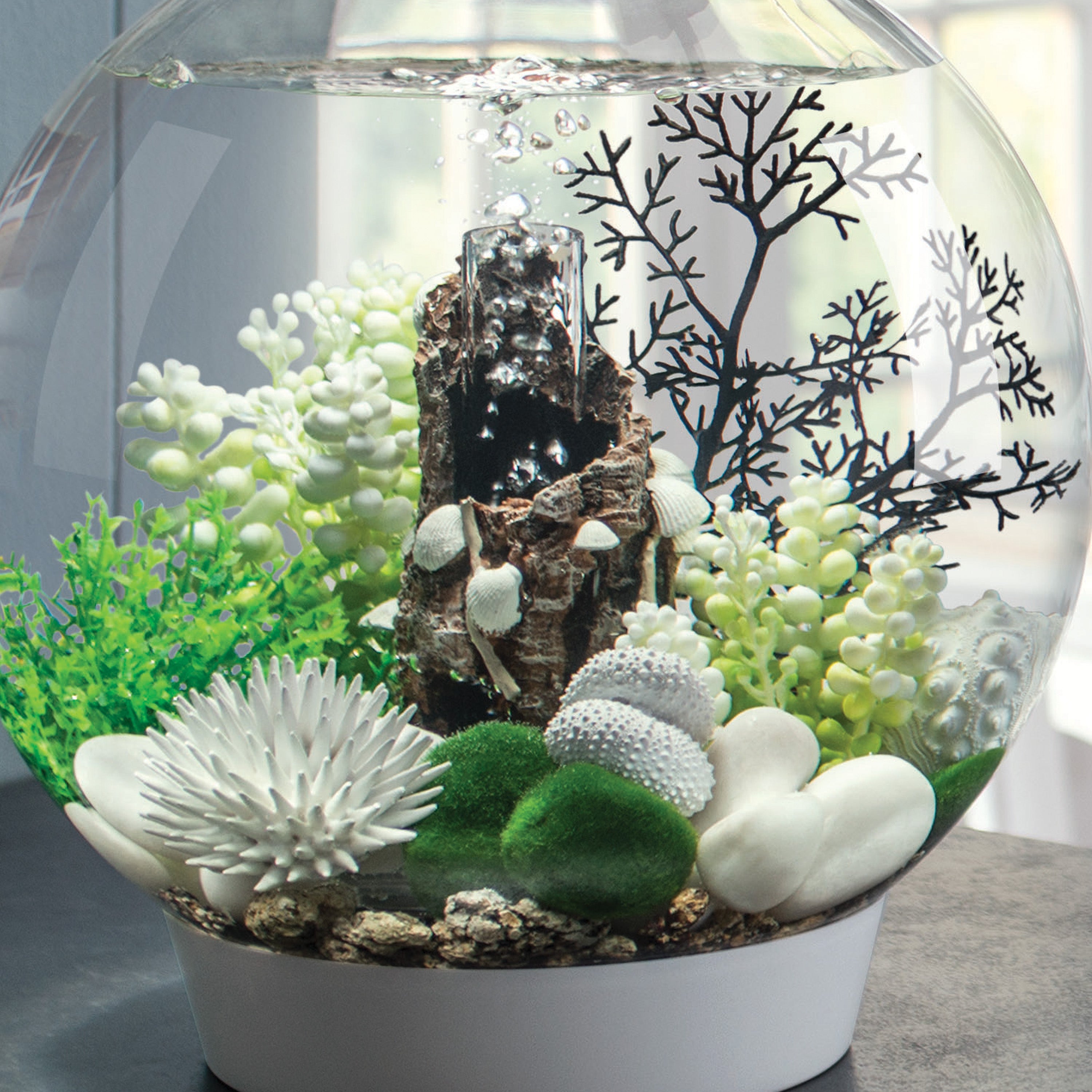 Sea Urchins Set of 3 - In use