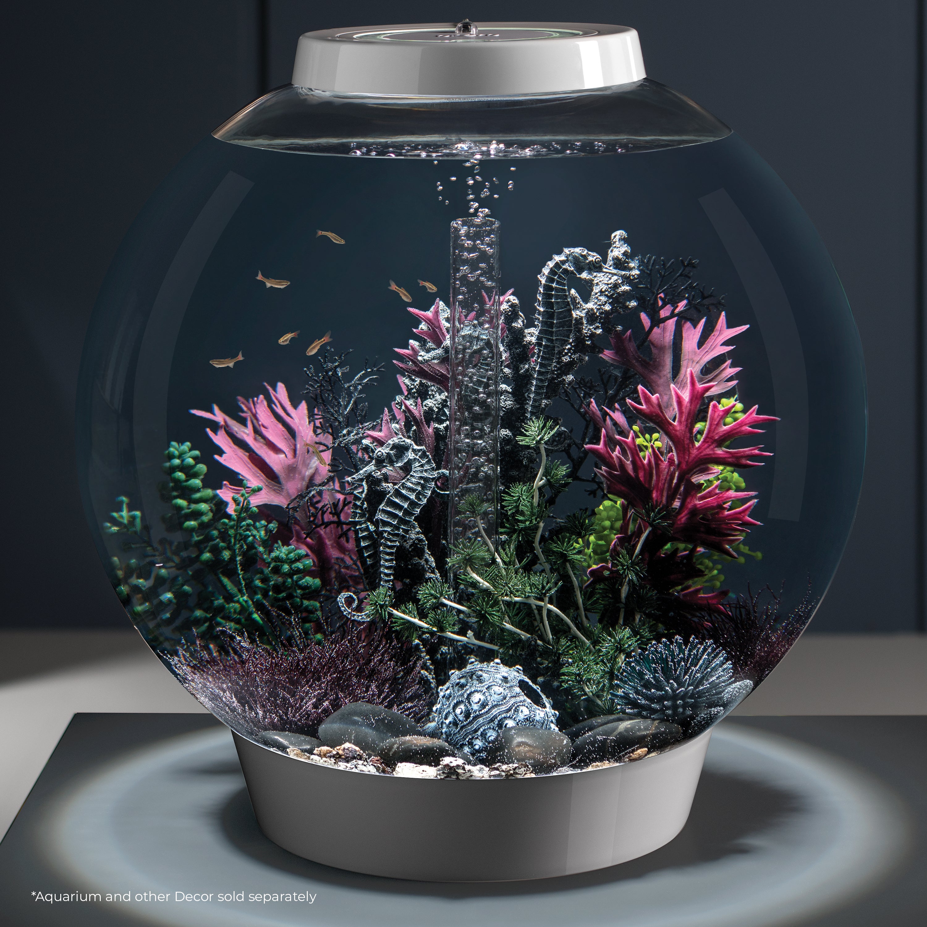 Sea Urchins Set of 3 In Use