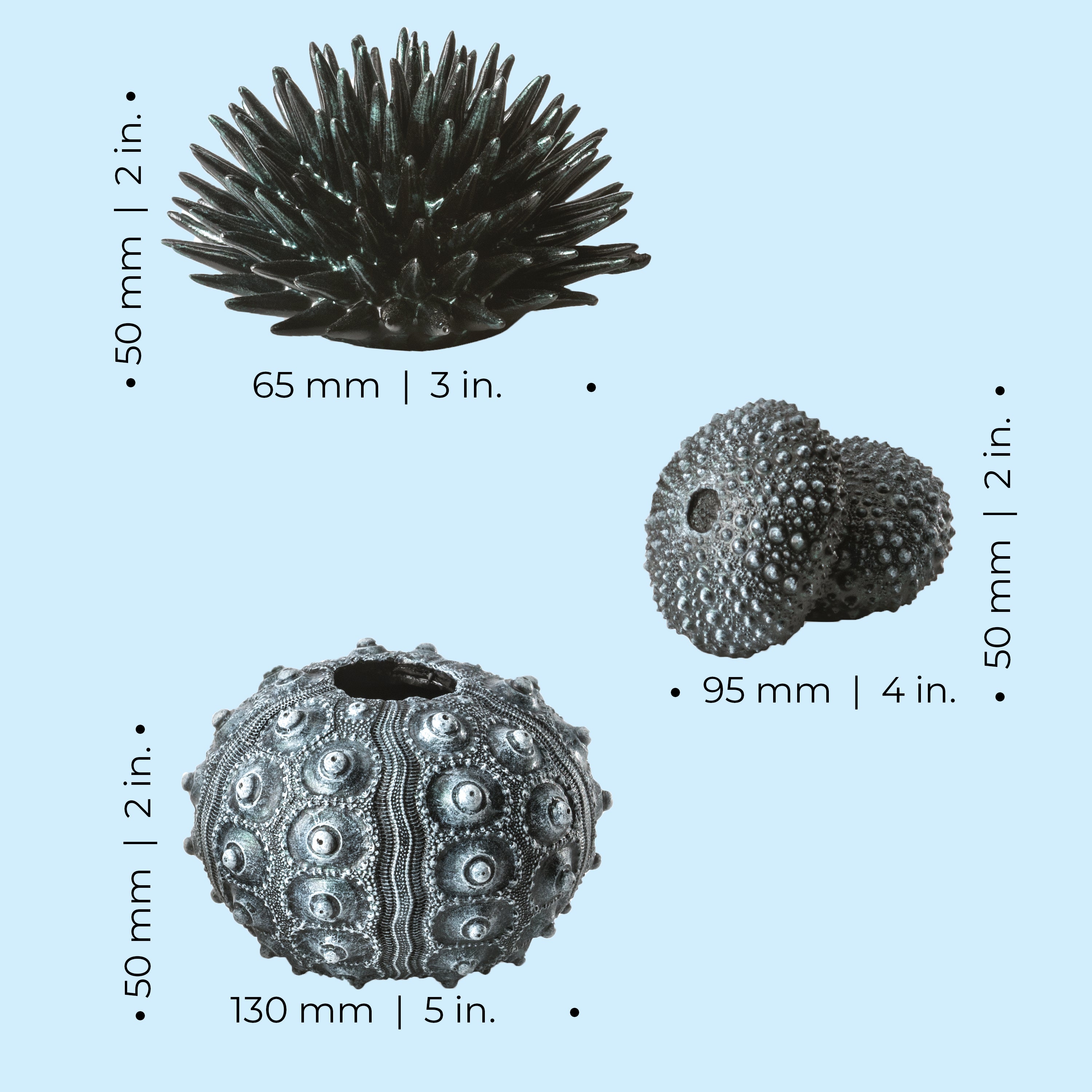 Sea Urchins Set of 3 - Dimensions