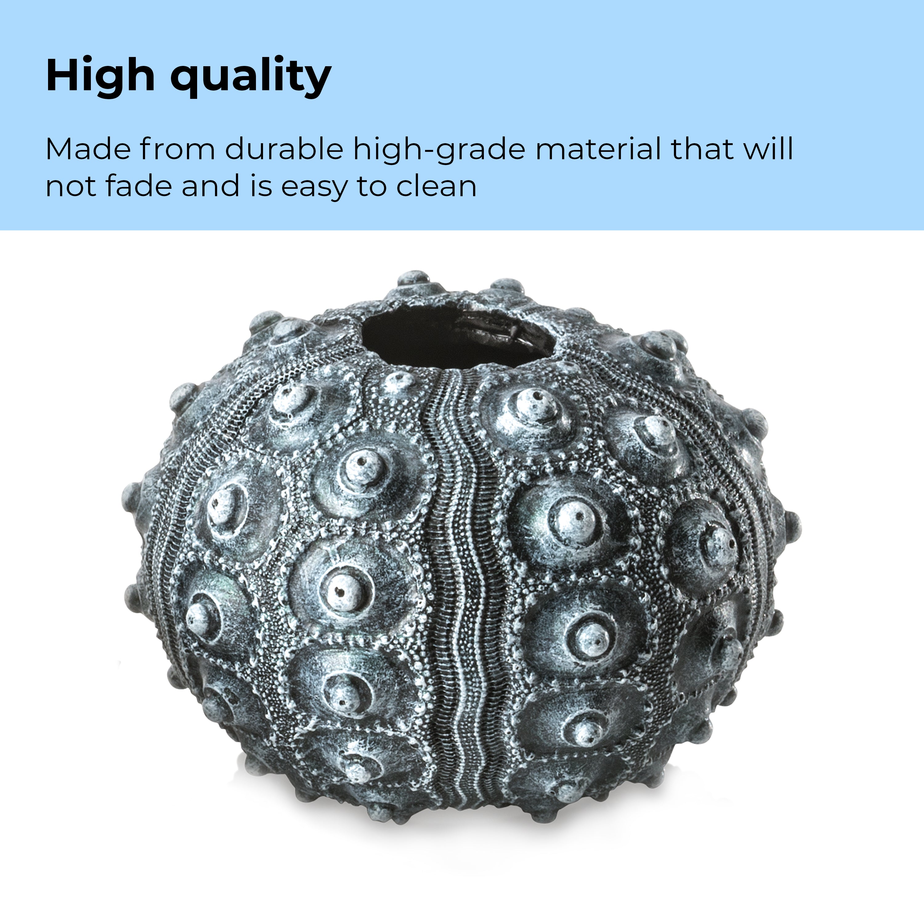 Sea Urchins Set of 3 - High quality