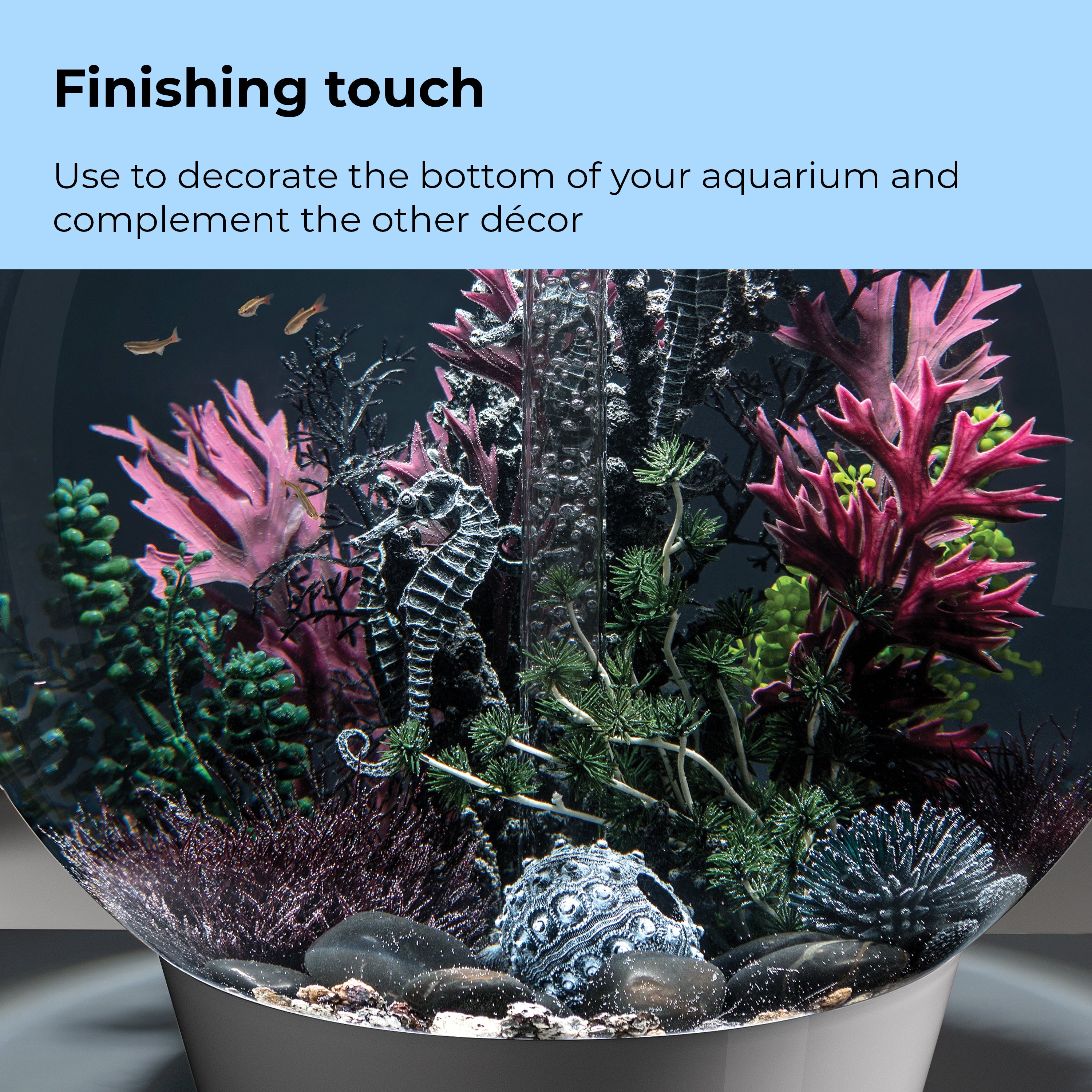 Sea Urchins Set of 3 - Finishing touch